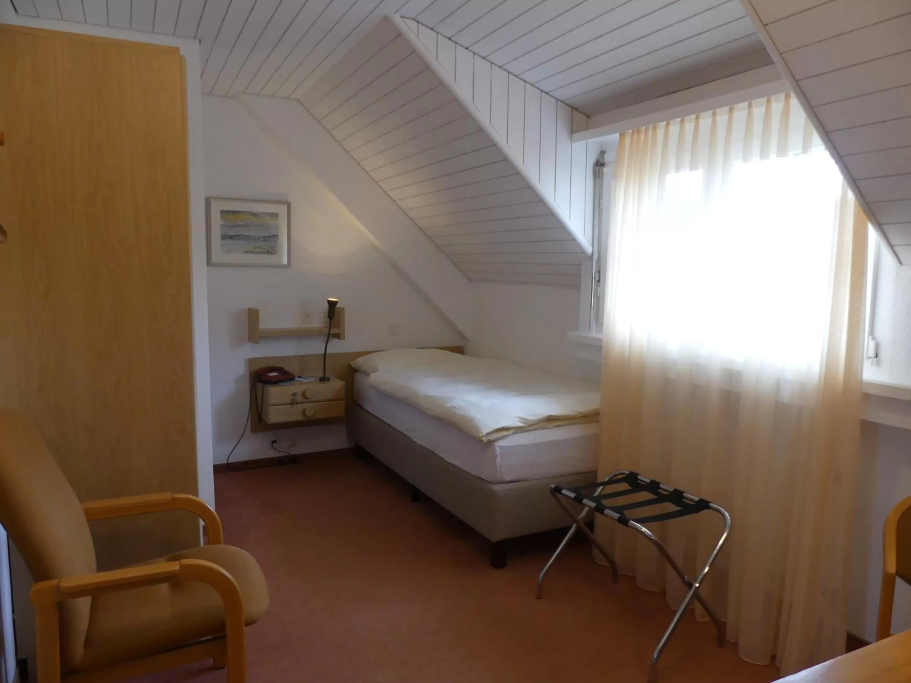 Single Room - single occupancy in Hotel Adler