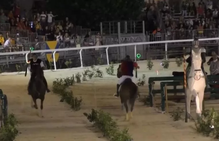 Animals in Dietro Piazza Maggiore