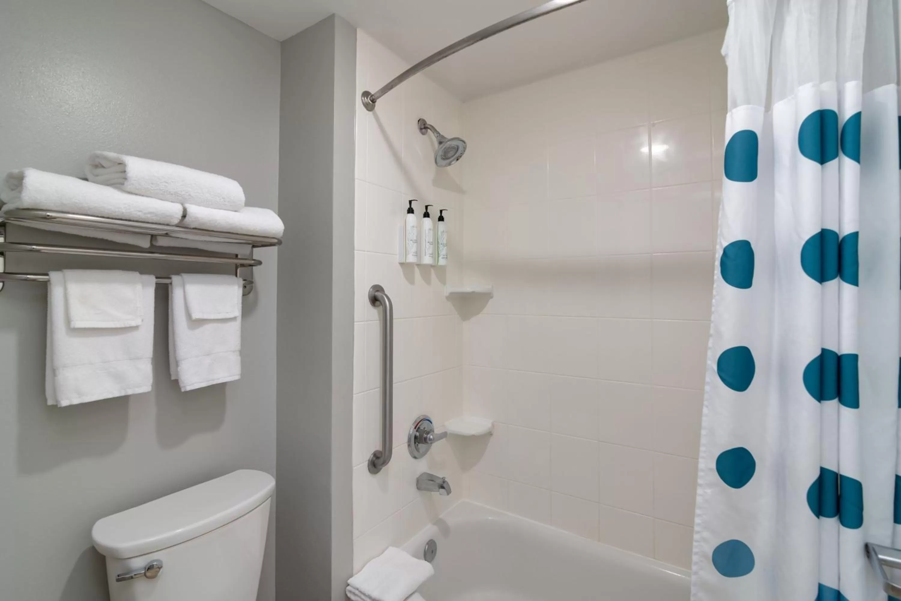 Bathroom in TownePlace Suites by Marriott Dallas McKinney