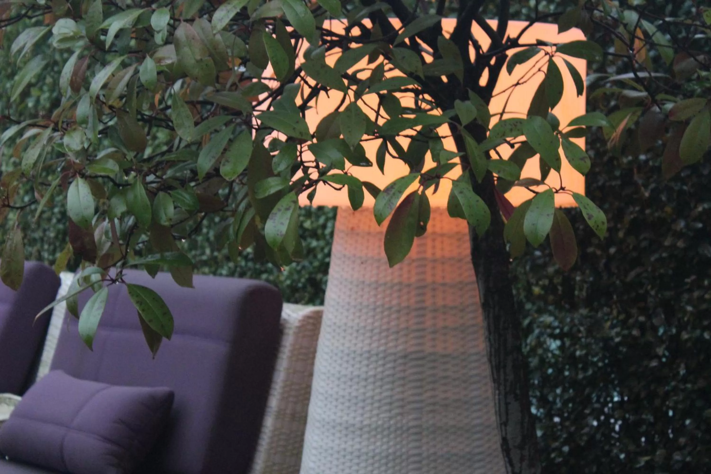 Patio in B&B Saint-Georges -Located in the city centre of Bruges-