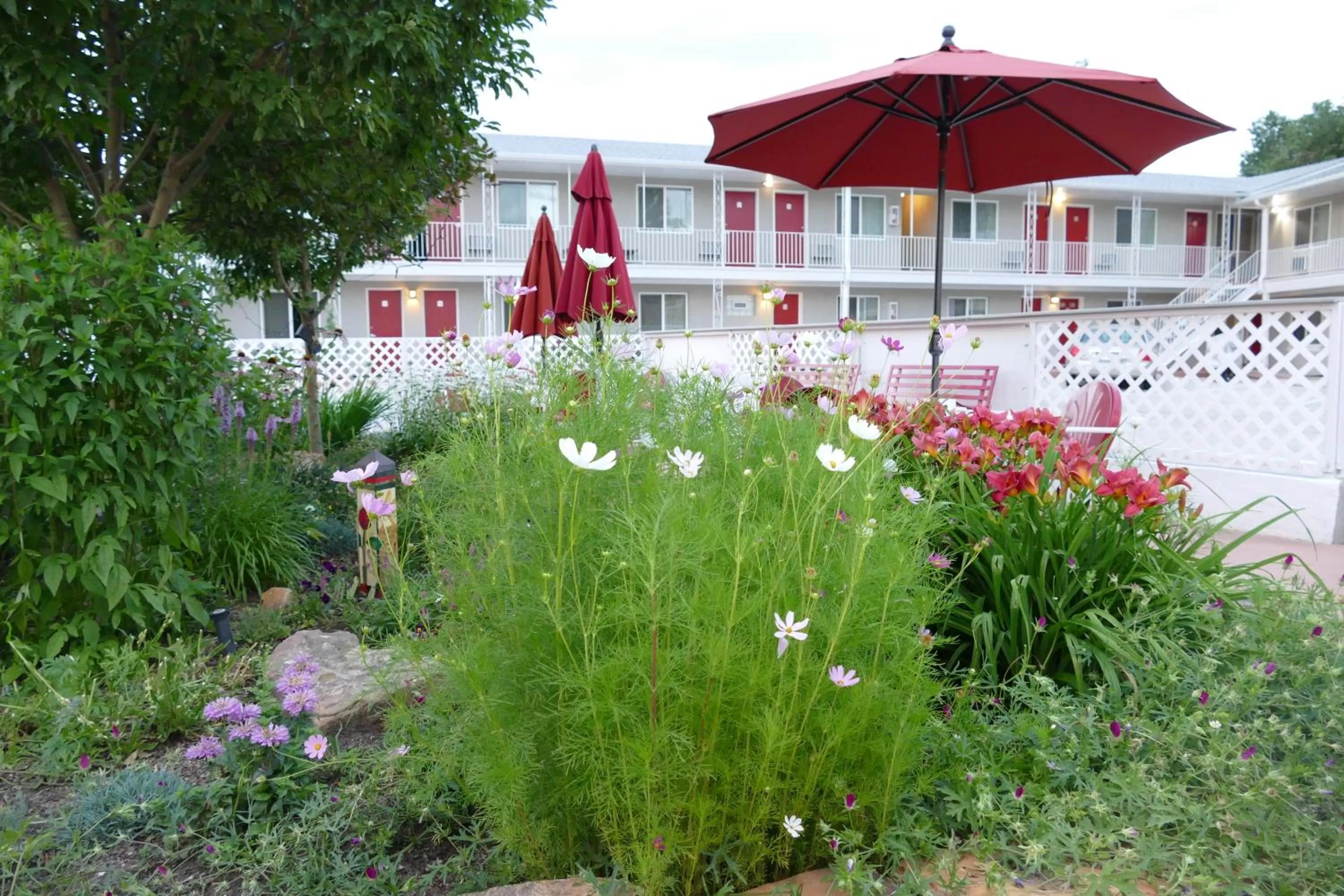 Garden in Red Wing Motel
