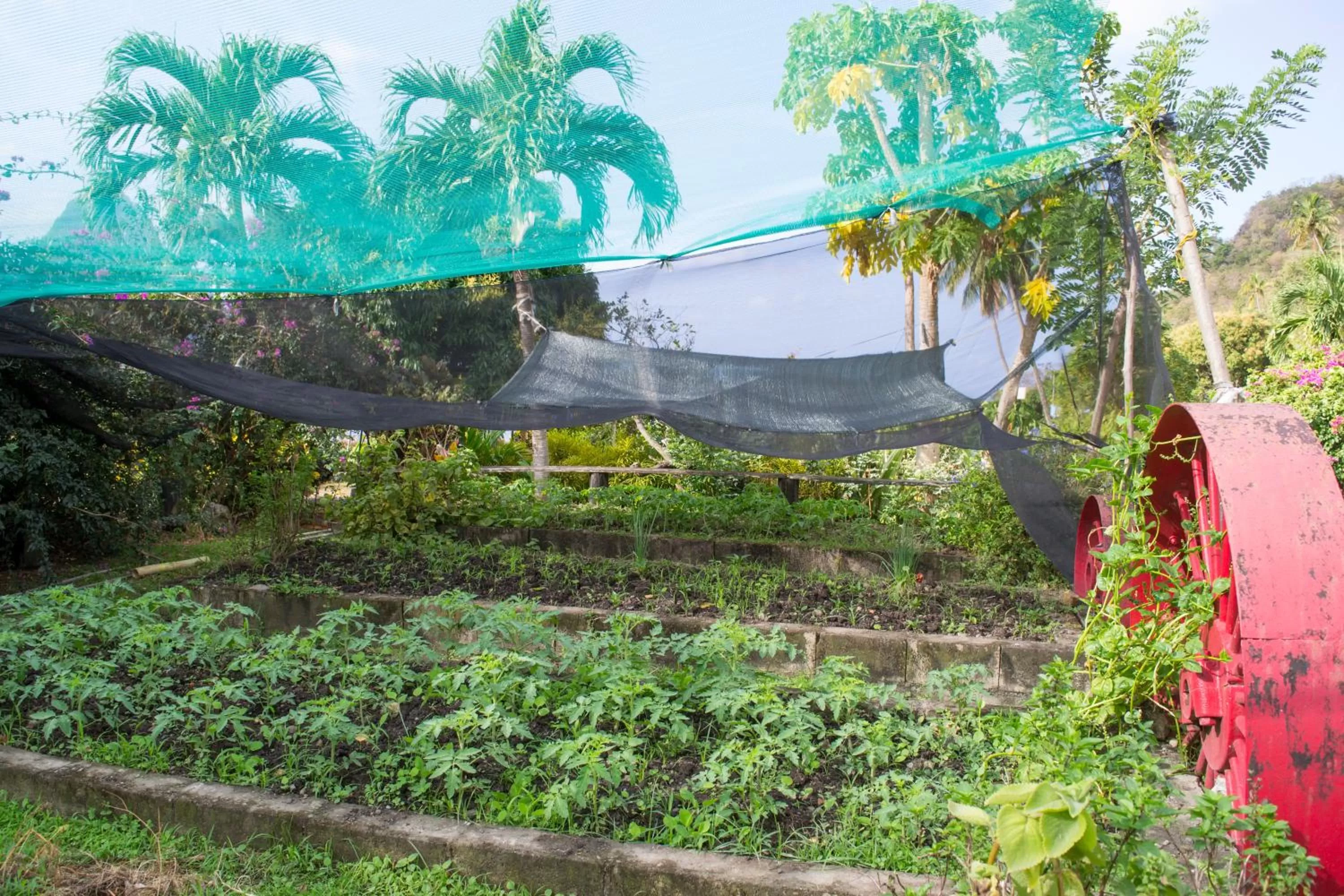 Natural landscape in La Haut Resort