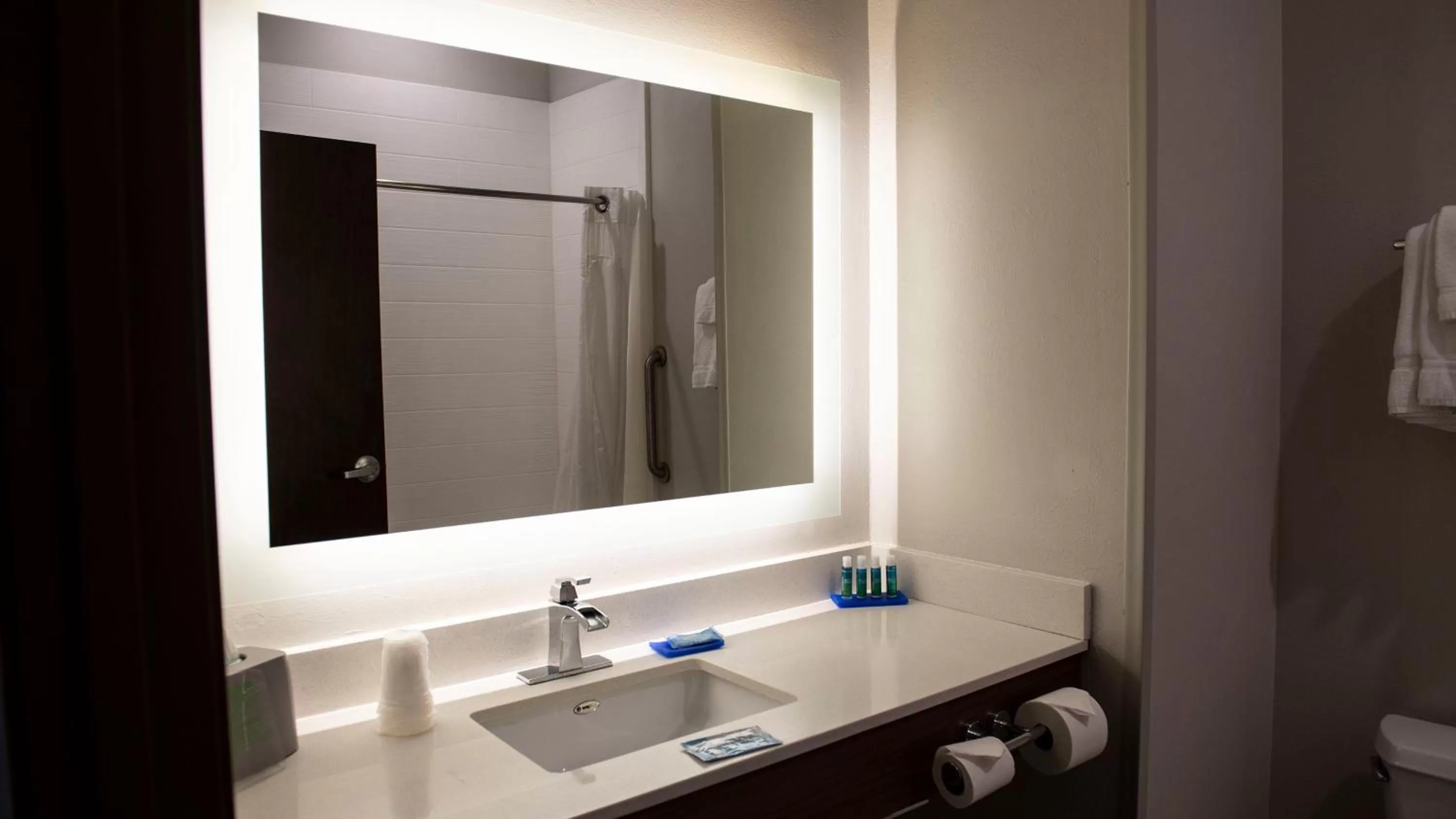 Bathroom in Holiday Inn Express Hotel & Suites Sedalia by IHG