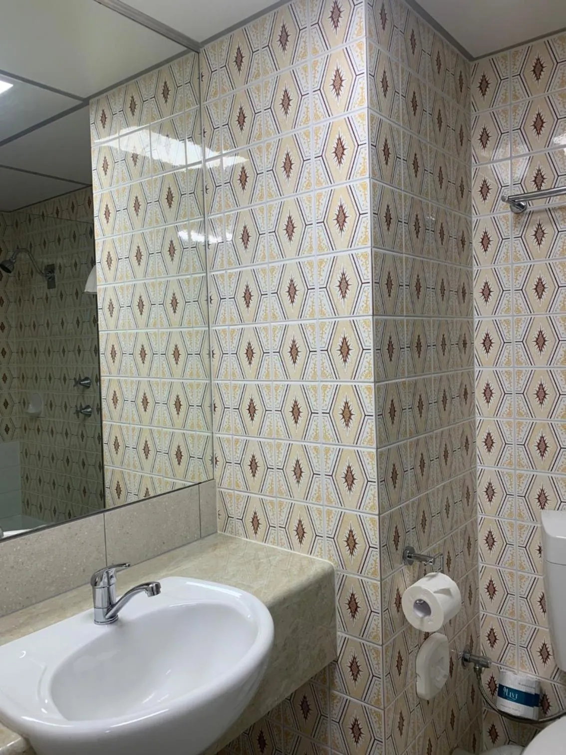 Toilet in Dog Rock Motel