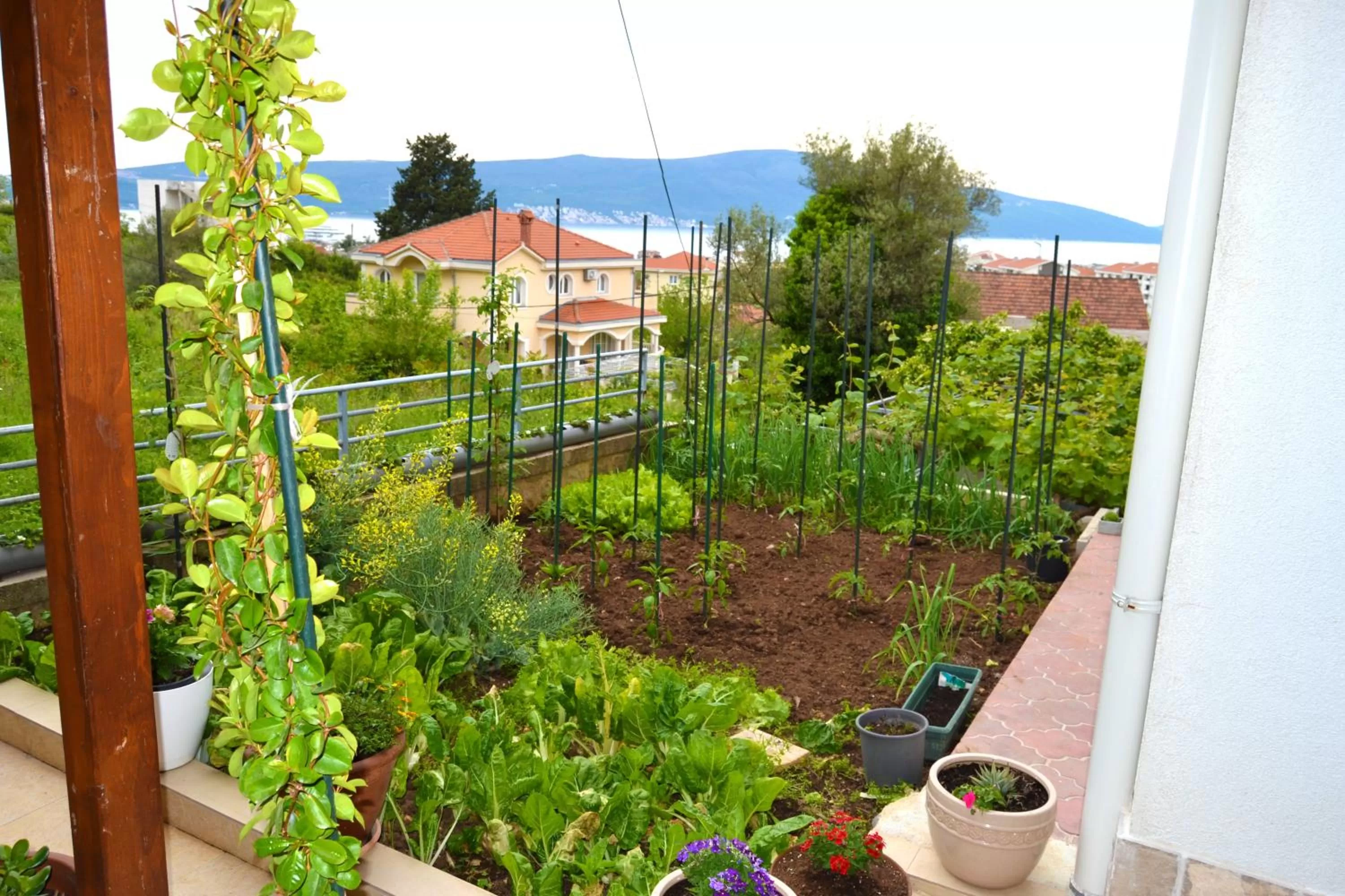 Garden view in Tivat Apartments
