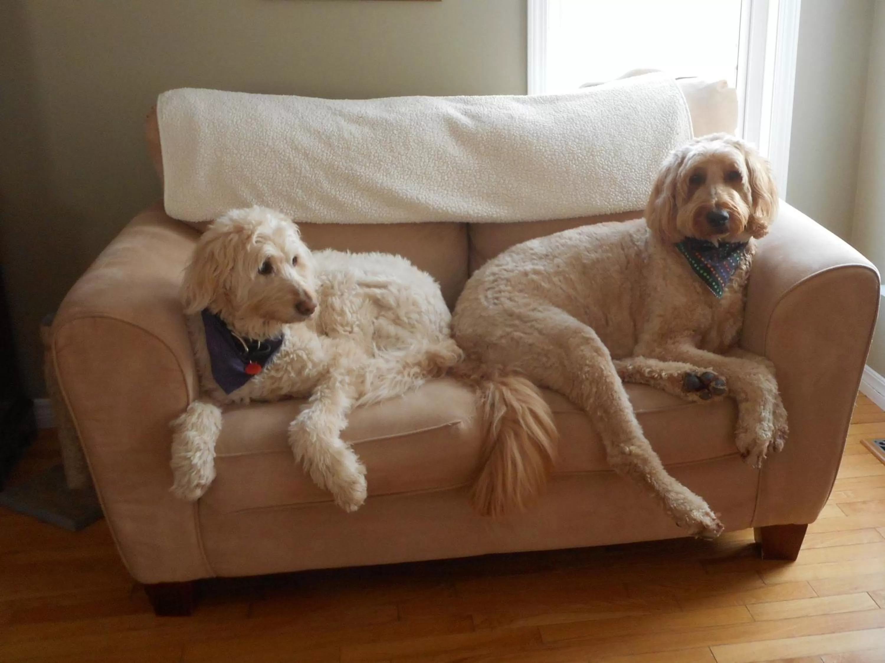 Côté's Bed & Breakfast