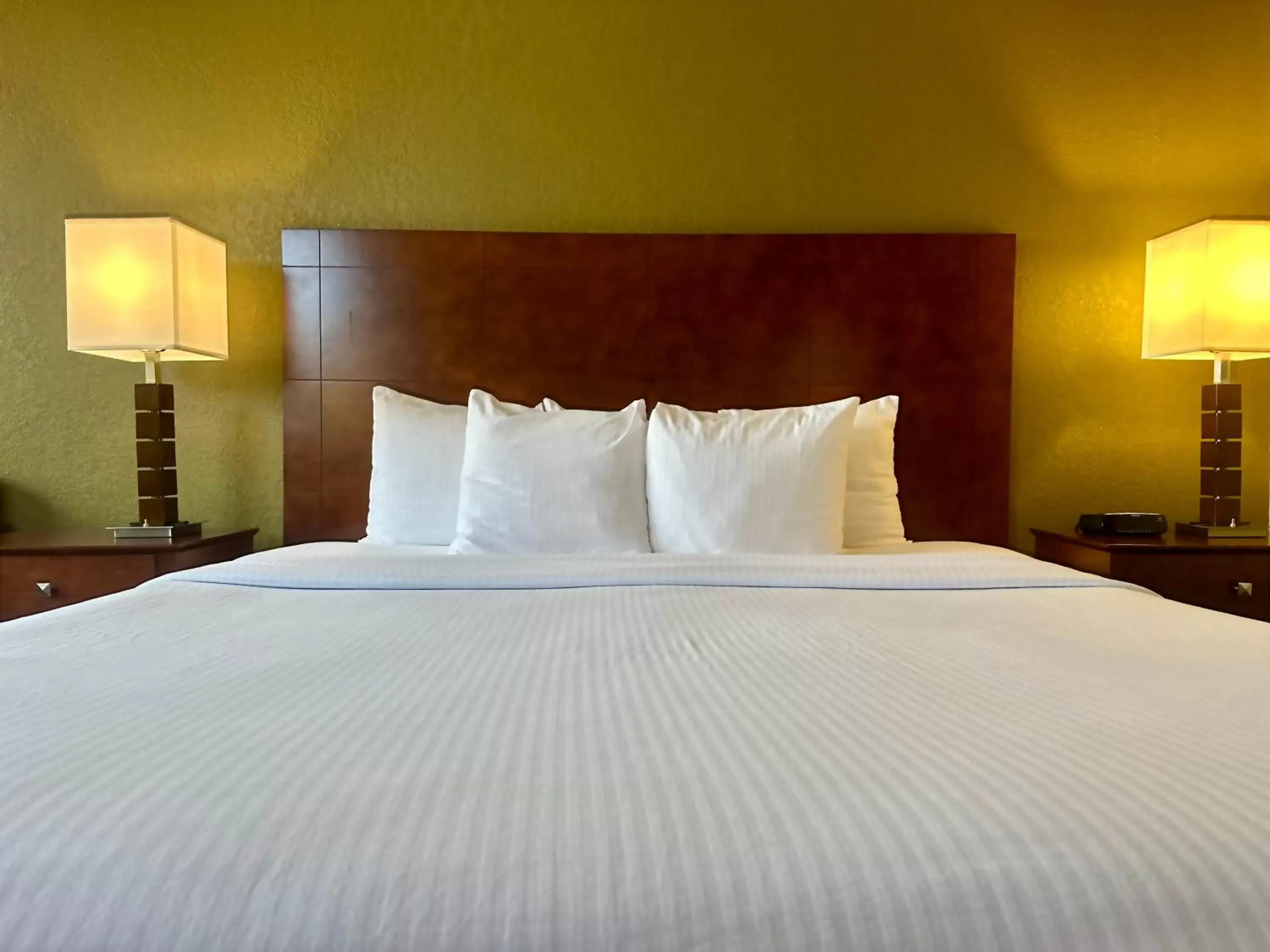 King Room with Bath Tub - Mobility Accessible/Non-Smoking in Best Western Executive Inn Kenosha - Pleasant Prairie King Room with Bath Tub - Mobility Accessible/Non-Smoking in Best Western Executive Inn Kenosha - Pleasant Prairie