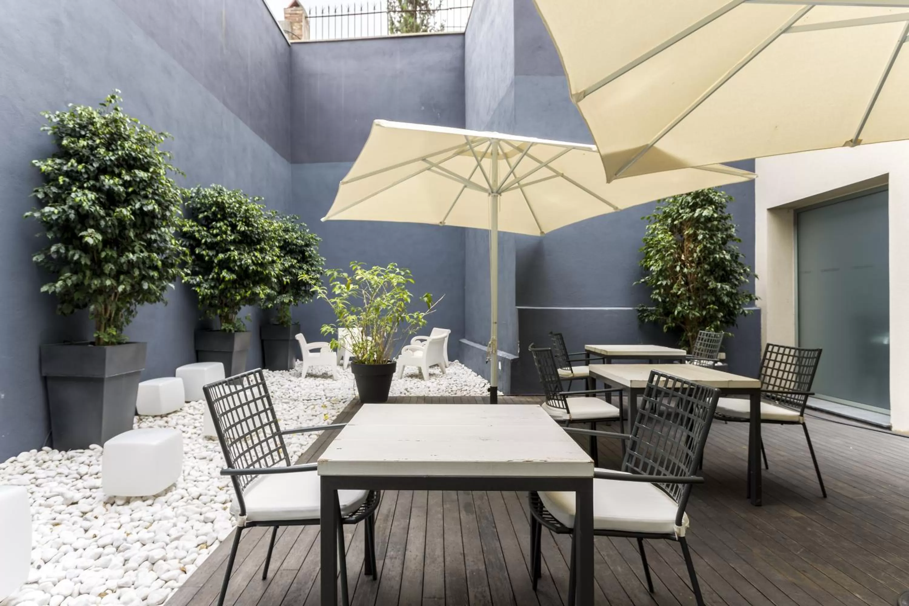 Area and facilities in Room Mate Carla, Barcelona