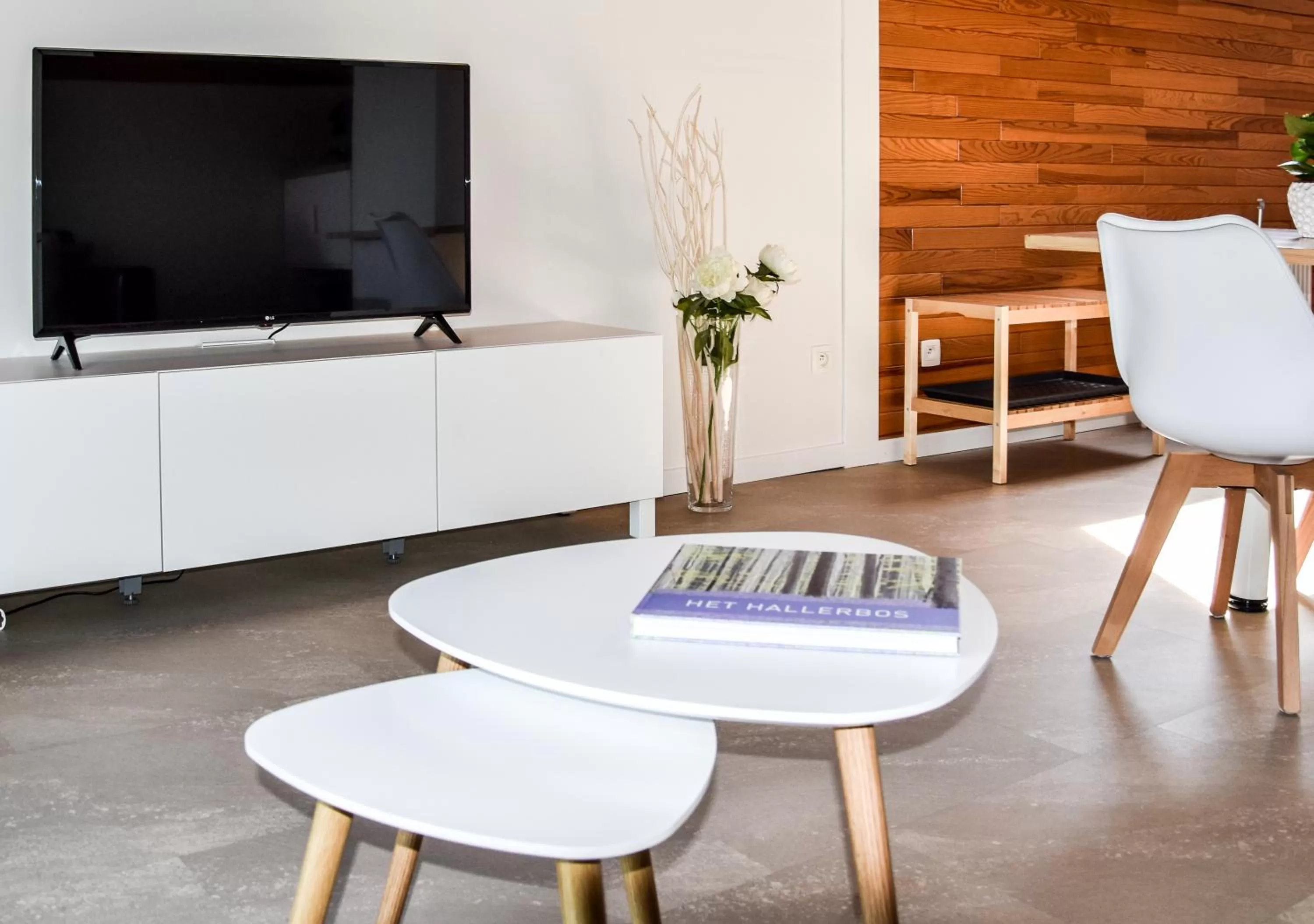 TV and multimedia in B&B Plattestien