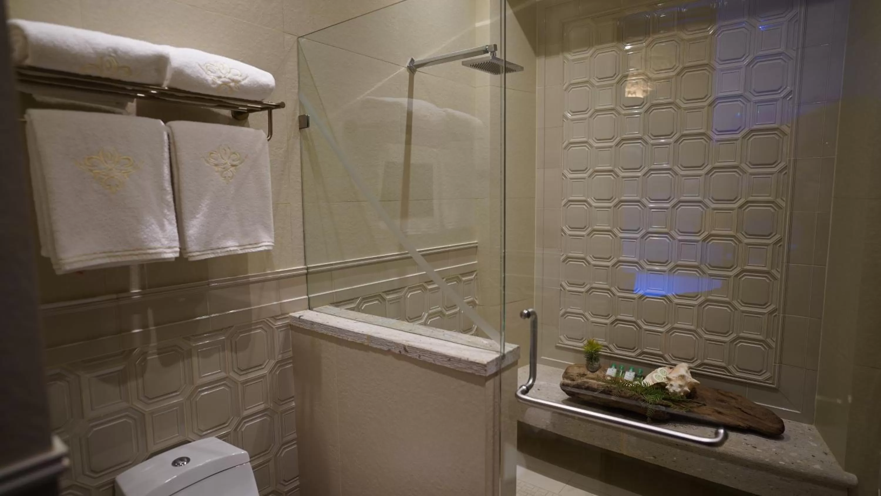 Shower in Hotel De La Soledad