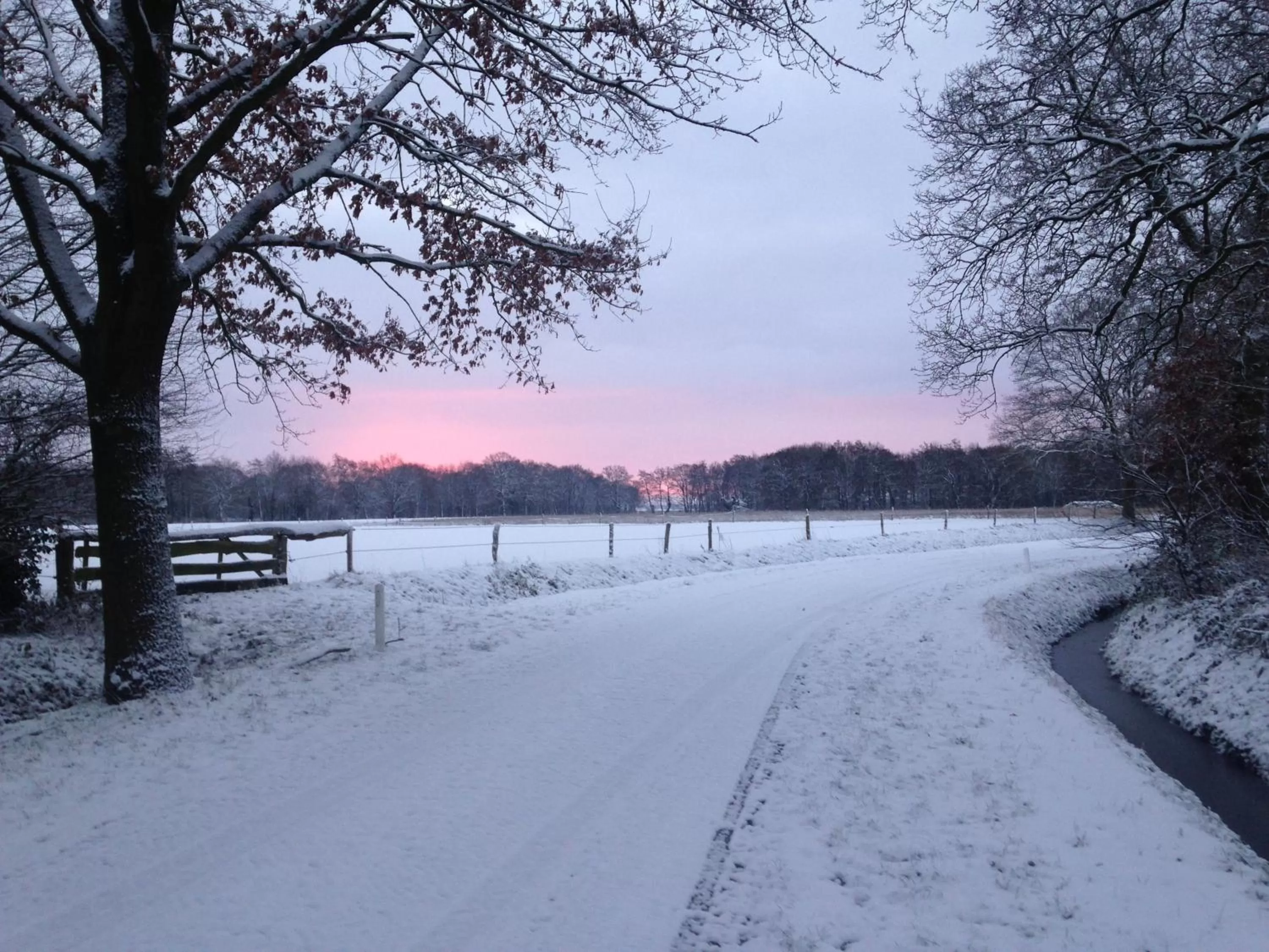 Natural landscape, Winter in De Hiddinghhoeve