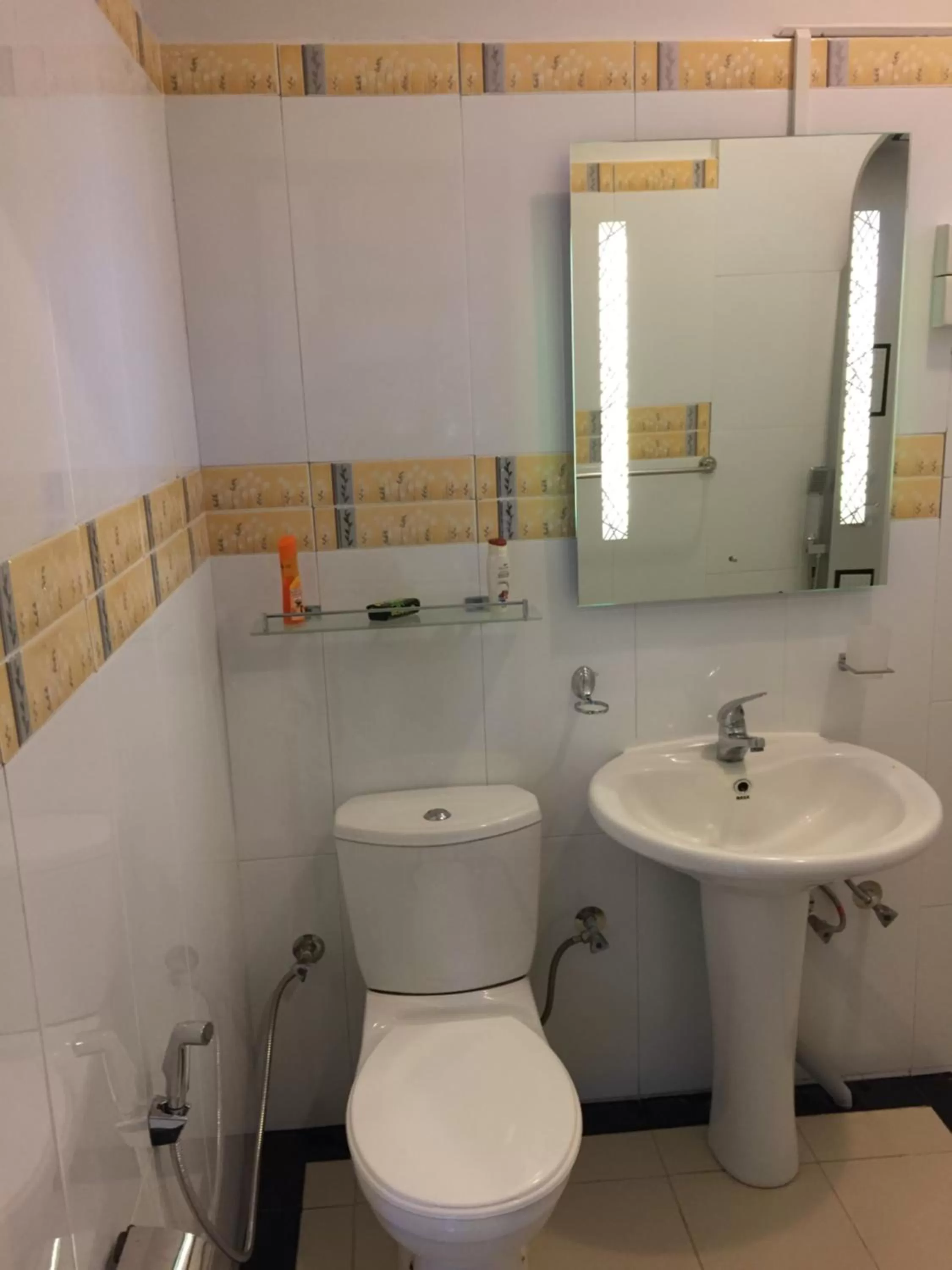 Bathroom in Le leopard d 'argent