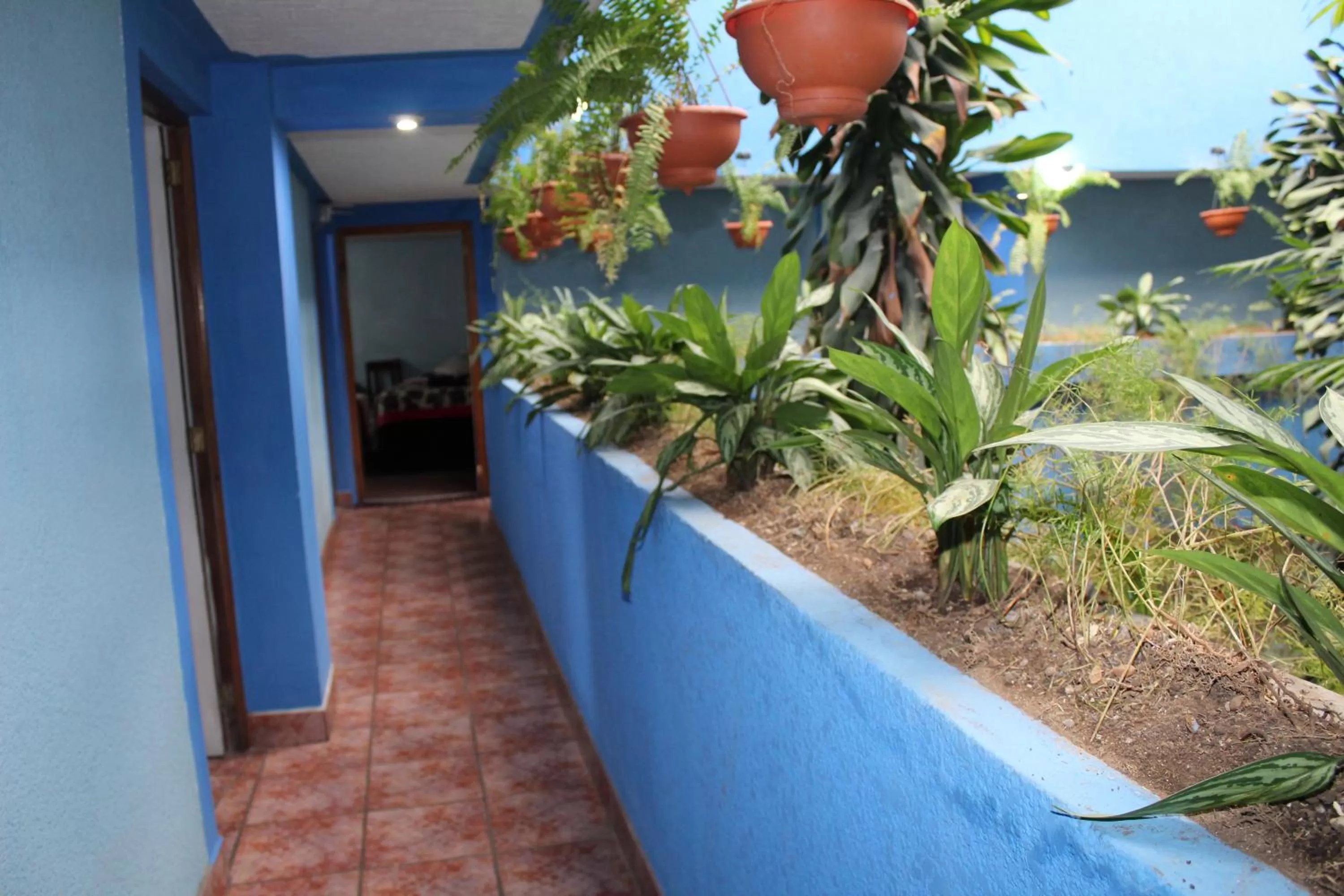 Property building, Balcony/Terrace in hotel kasa kamelot 2