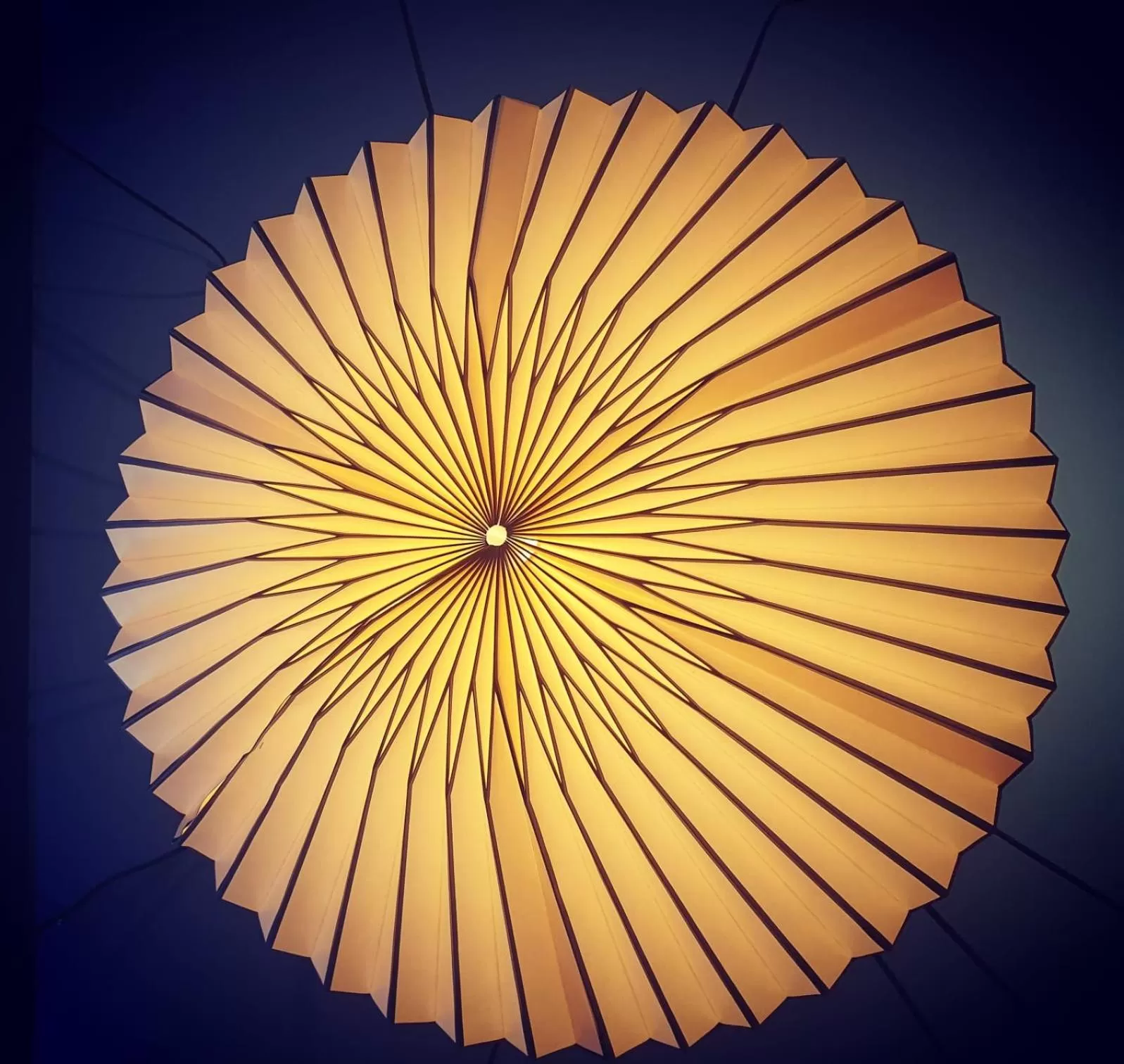 Decorative detail in Hotelo Lyon Ainay