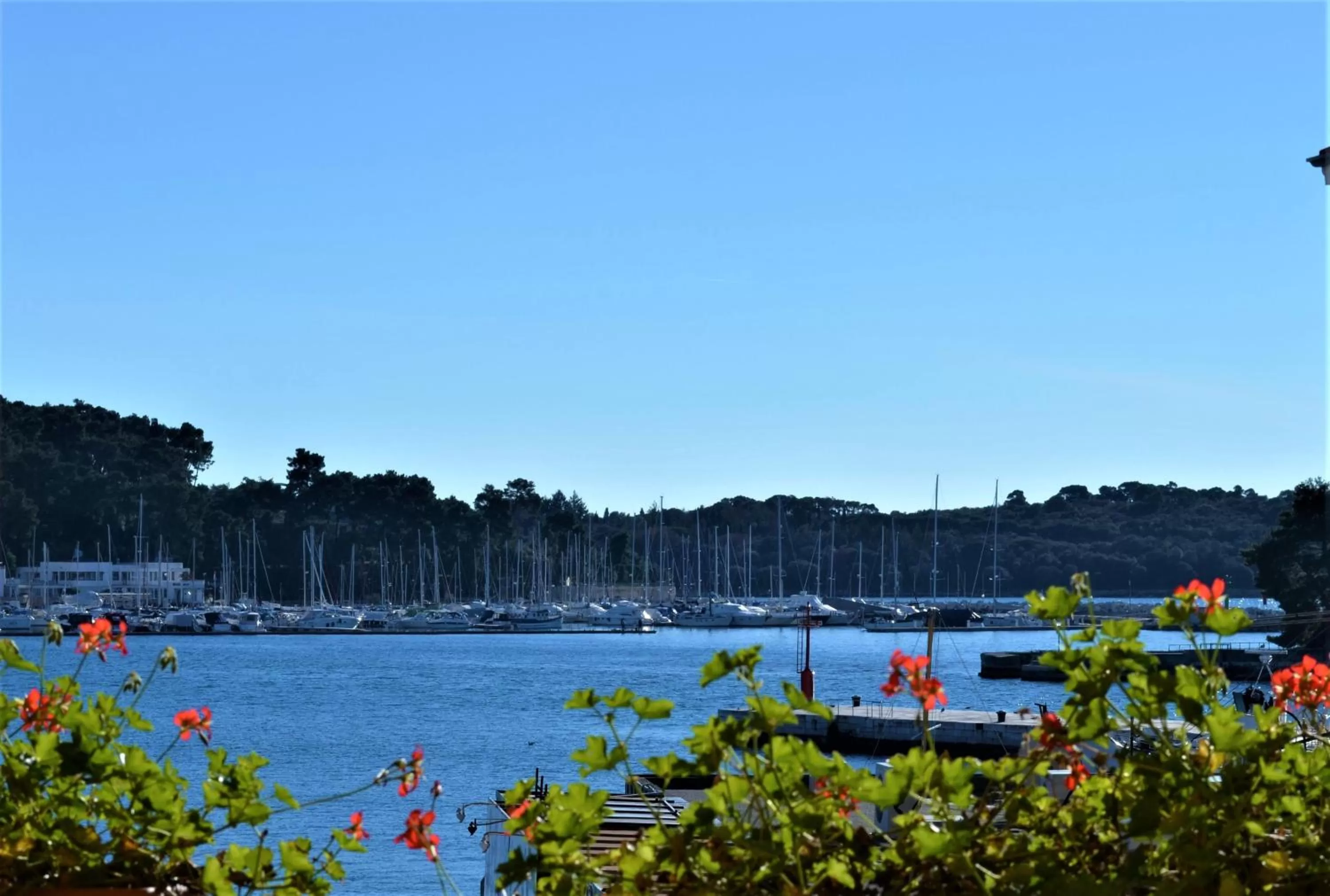 Sea view in Villa Tuttorotto