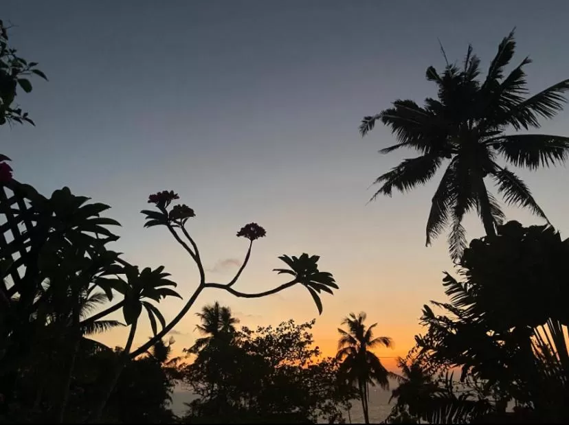 Garden, Sunrise/Sunset in Villa Jacaranda
