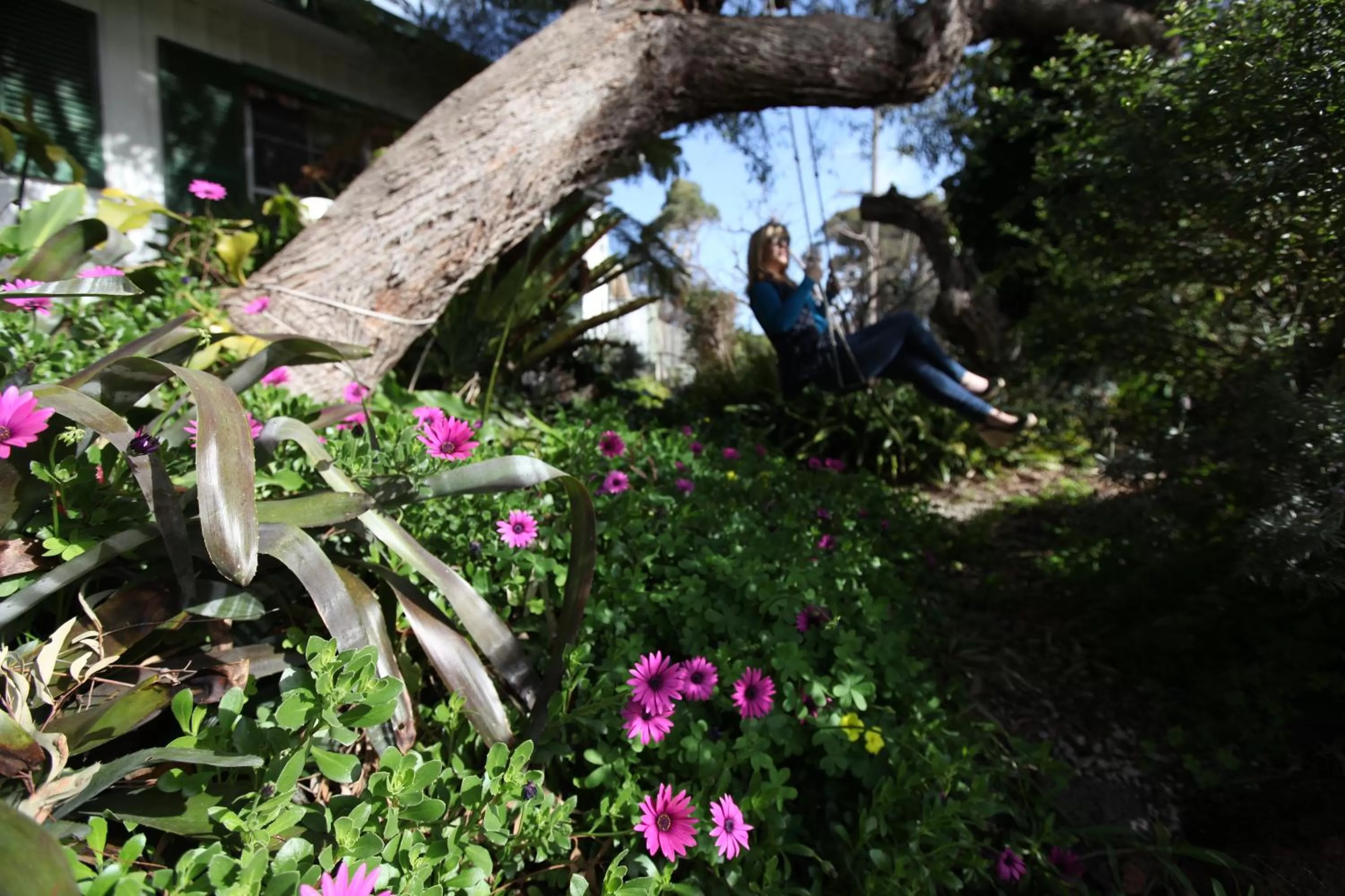 Garden in Sea Salt Bnb