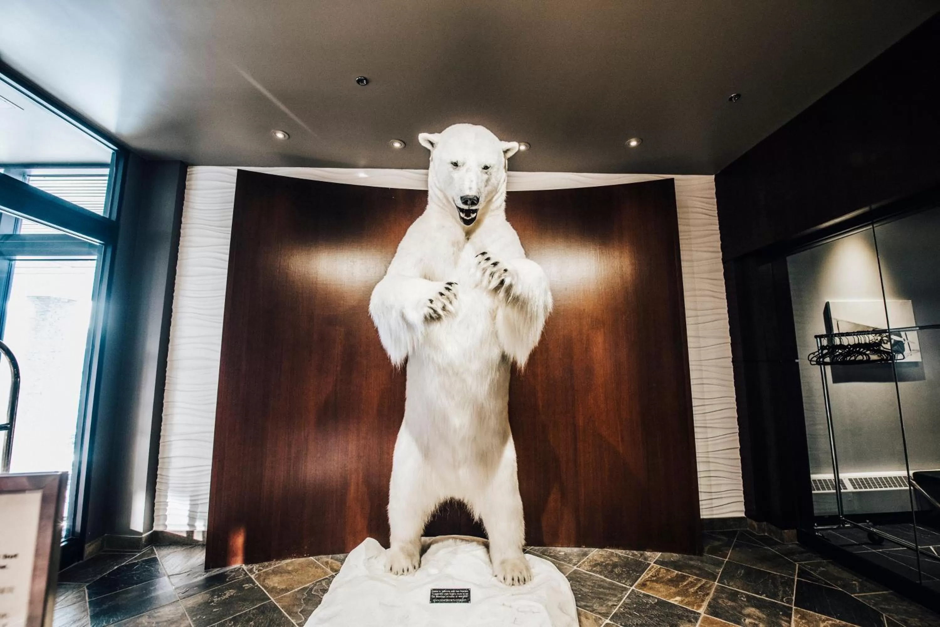 Lobby or reception in The Explorer Hotel