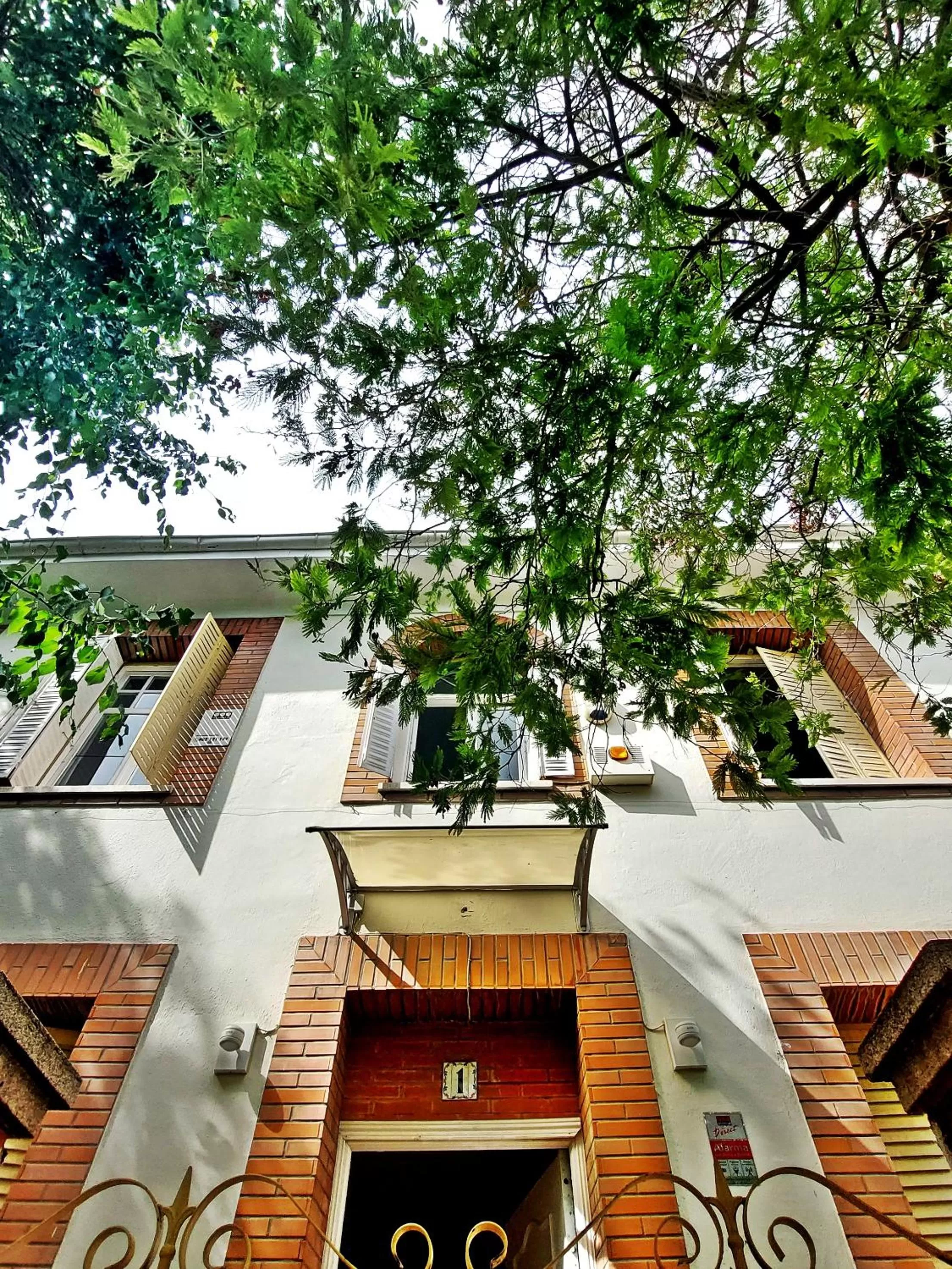 Property building in N1 Casa de Madrid - greenpeace line