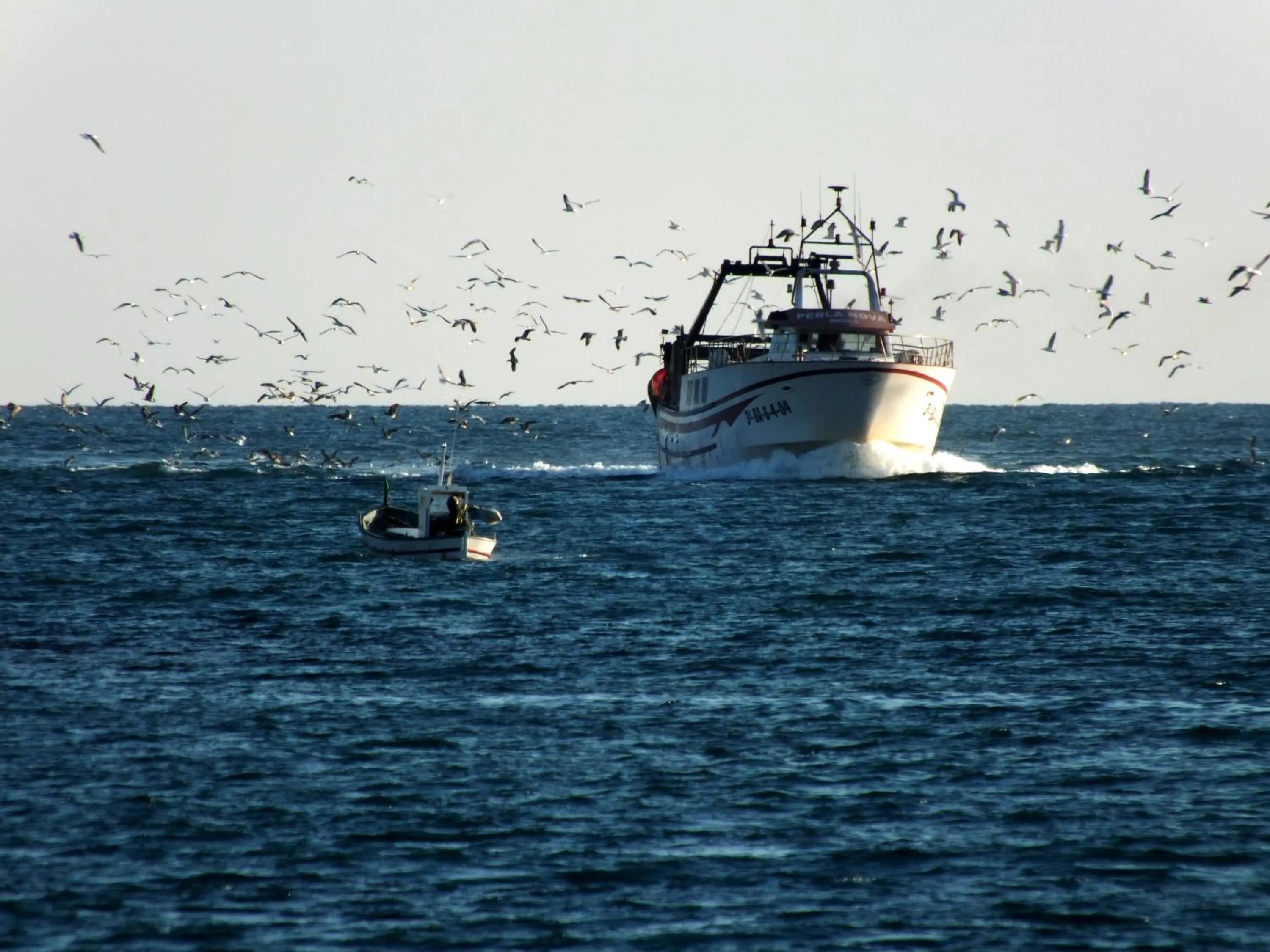 Natural landscape in Canyelles Platja