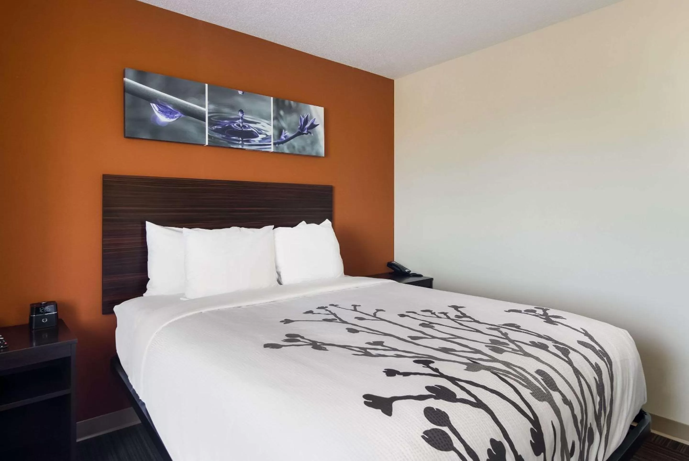 Bedroom, Bed in Sleep Inn Erie near Sports Center