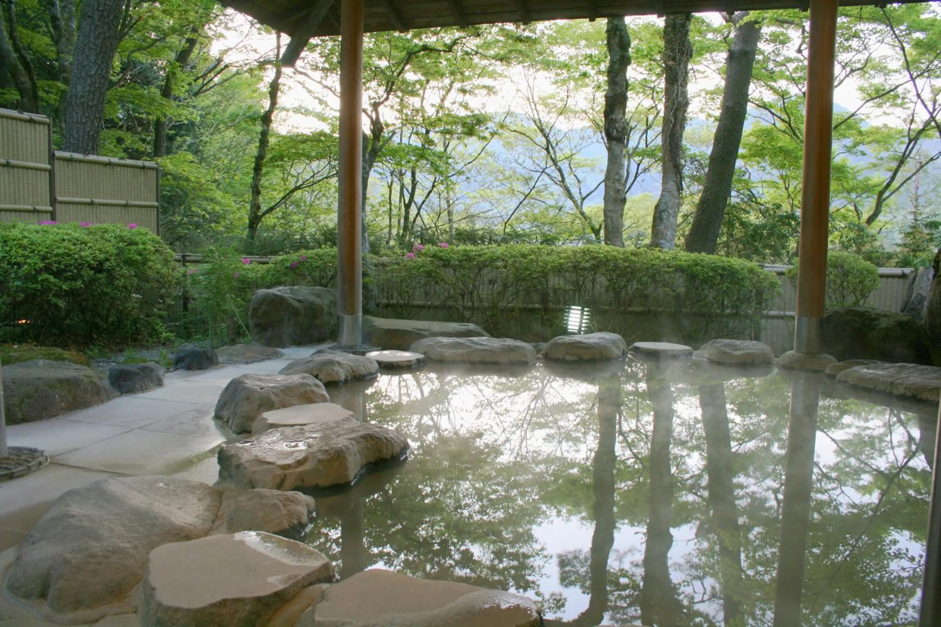 Hot Spring Bath in Senkyoro