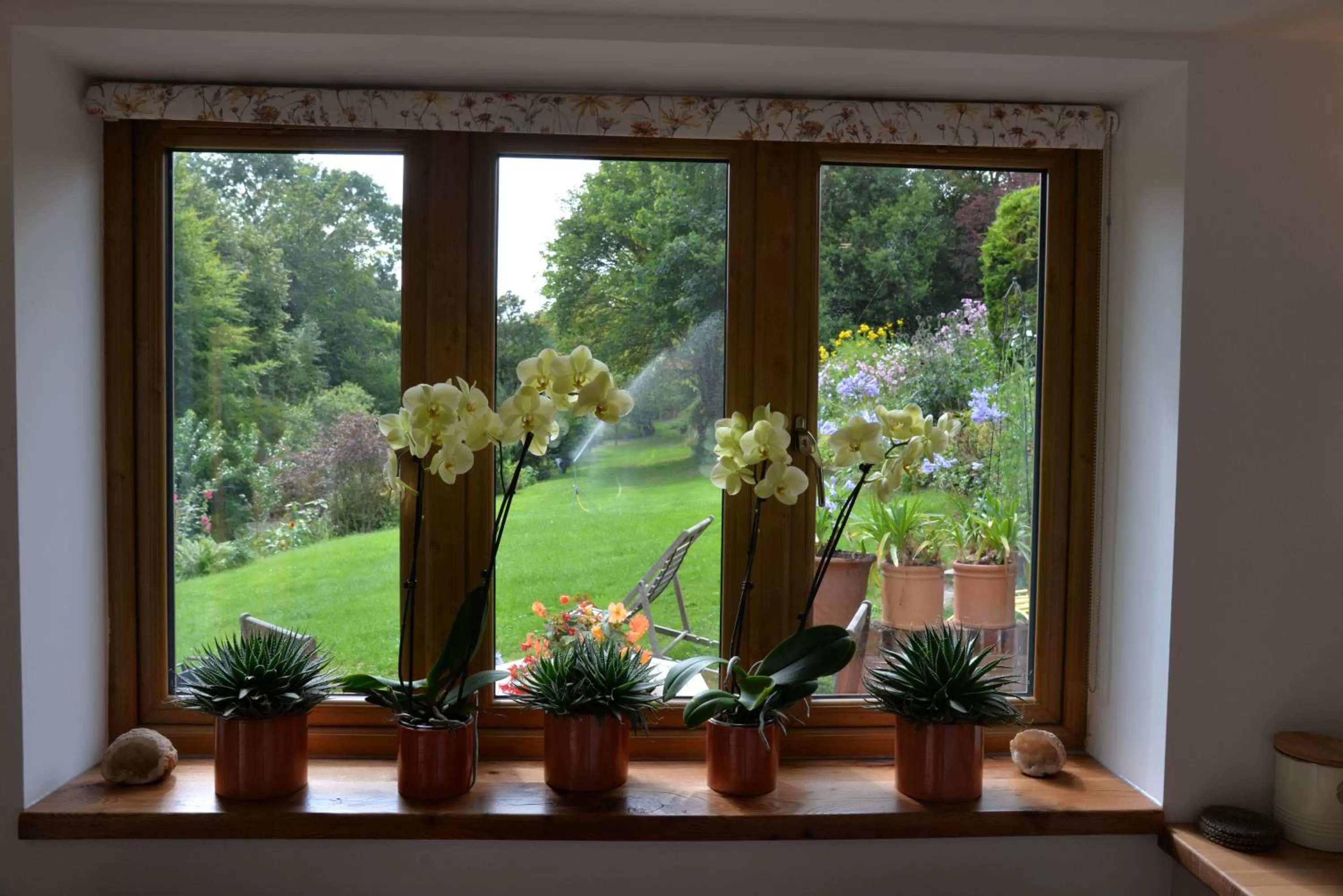 Spring in Thatchcombe B&B