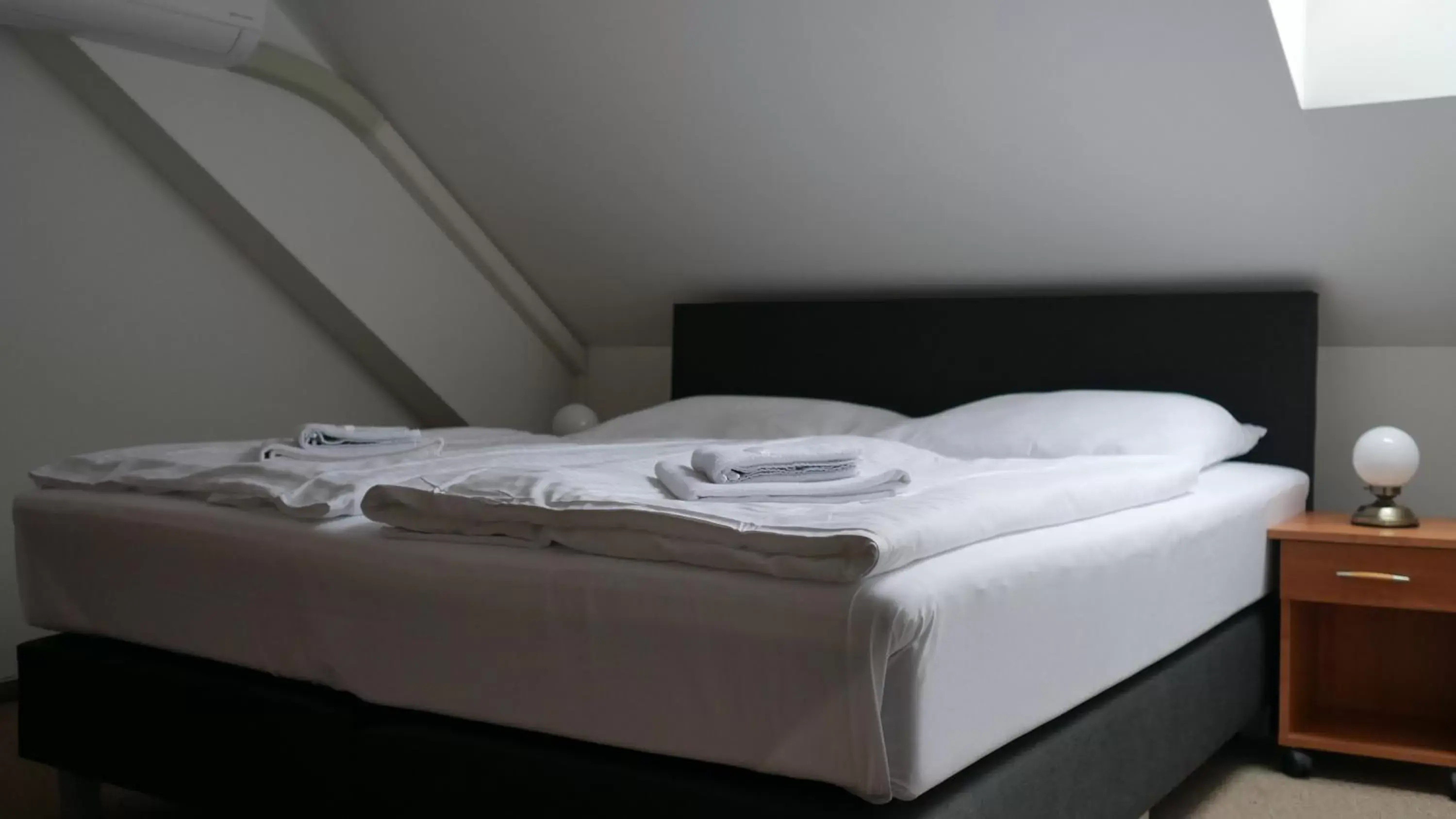 Economy Double or Twin Room in Hotel Bílý Koníček Economy Double or Twin Room in Hotel Bílý Koníček