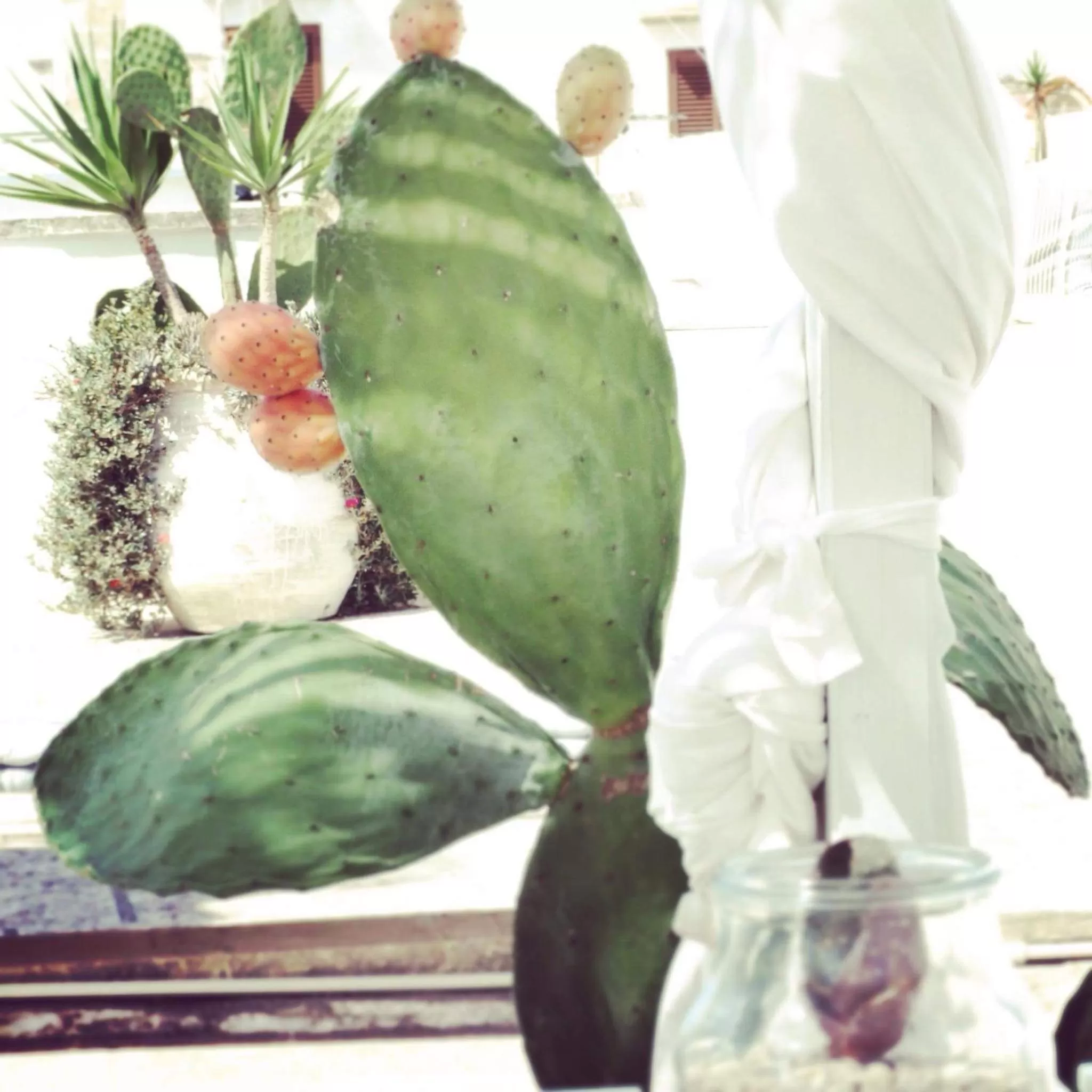 Location in Corte Moline