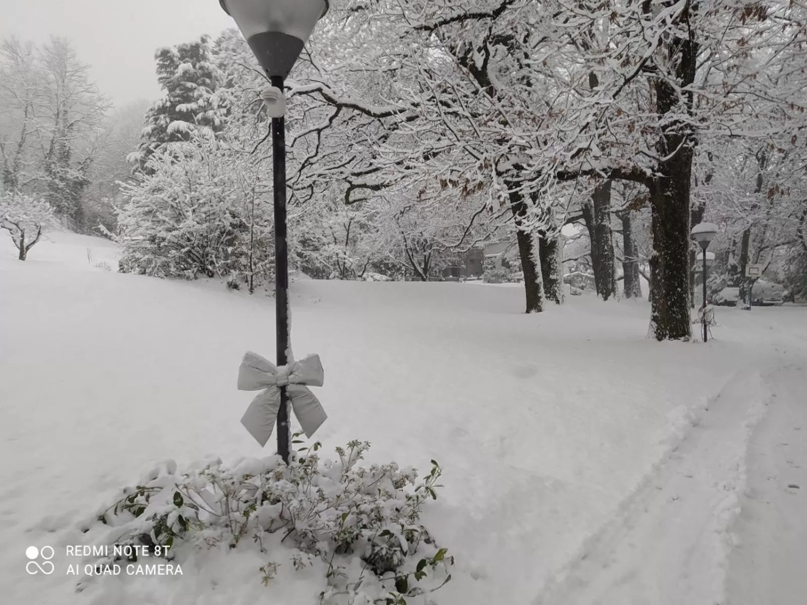 Winter in "La Selvetta" bed and breakfast