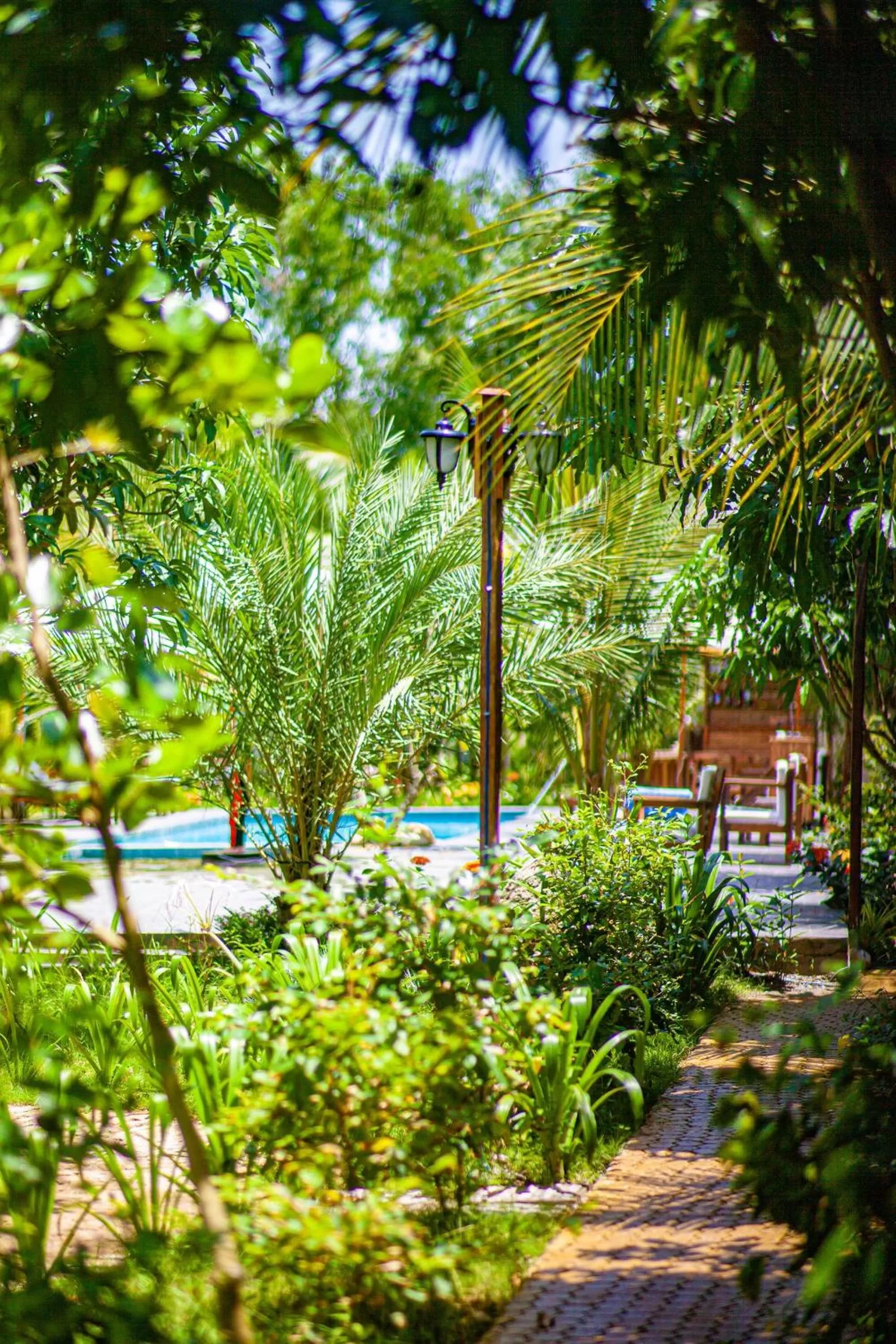 Natural landscape in Hoang Phuc resort