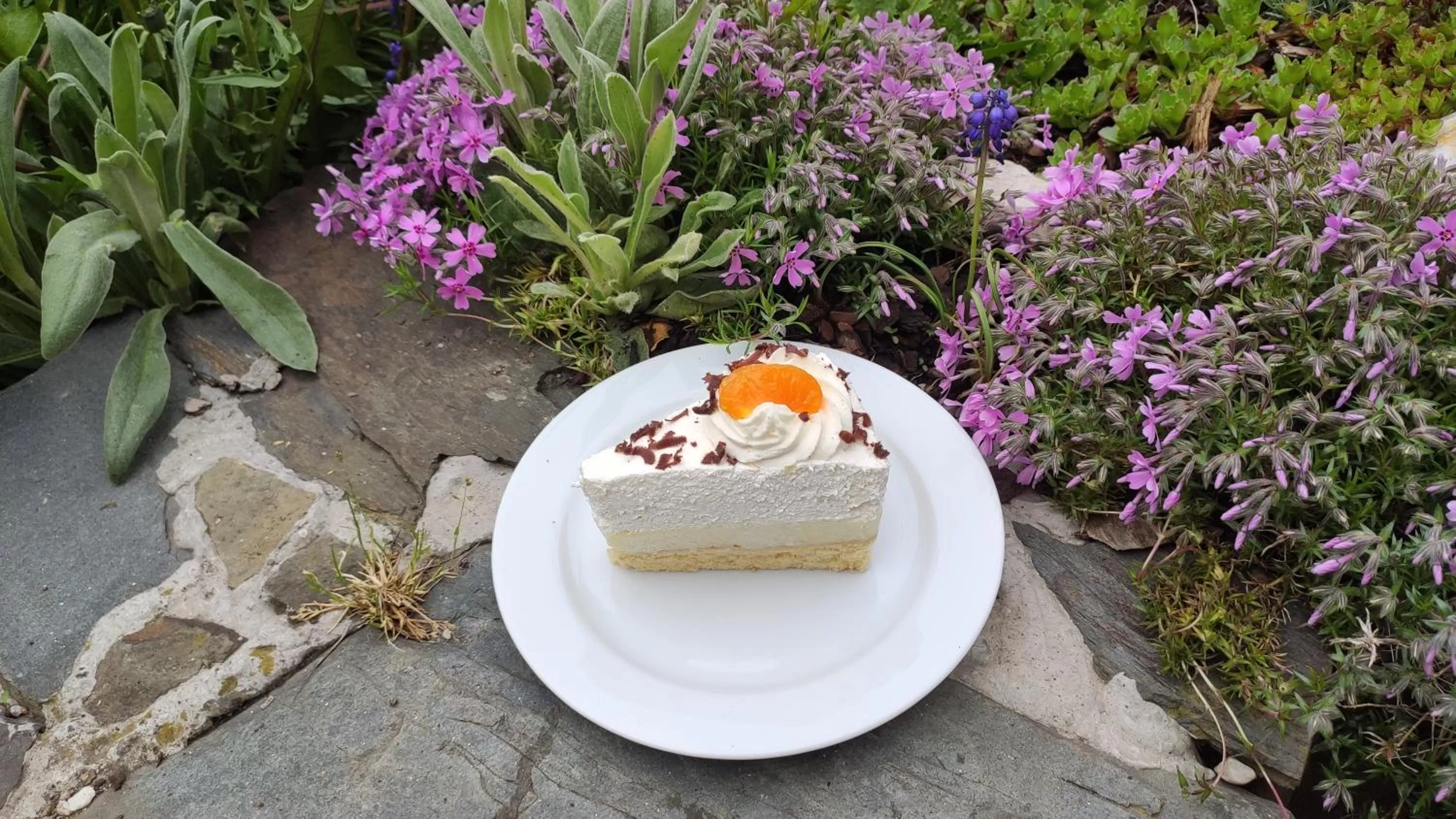 Food close-up in H@M Penzion