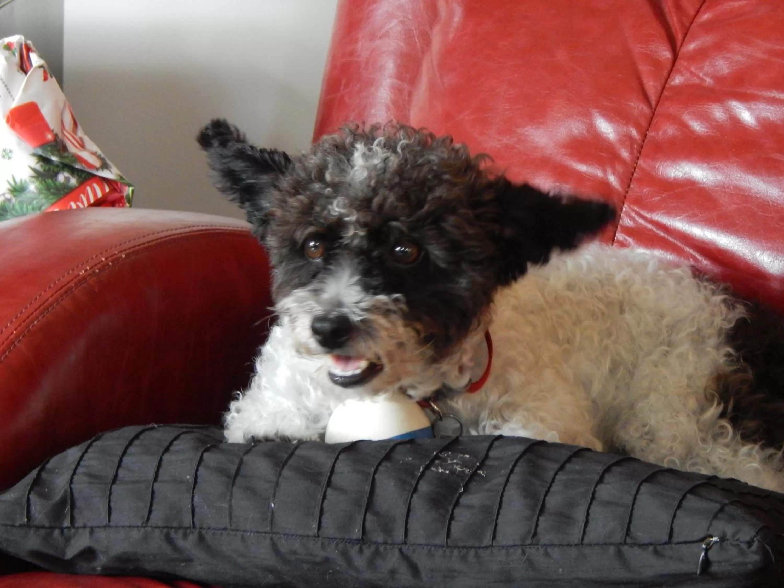 Ochenta Y Dos Bed & Breakfast & Spa