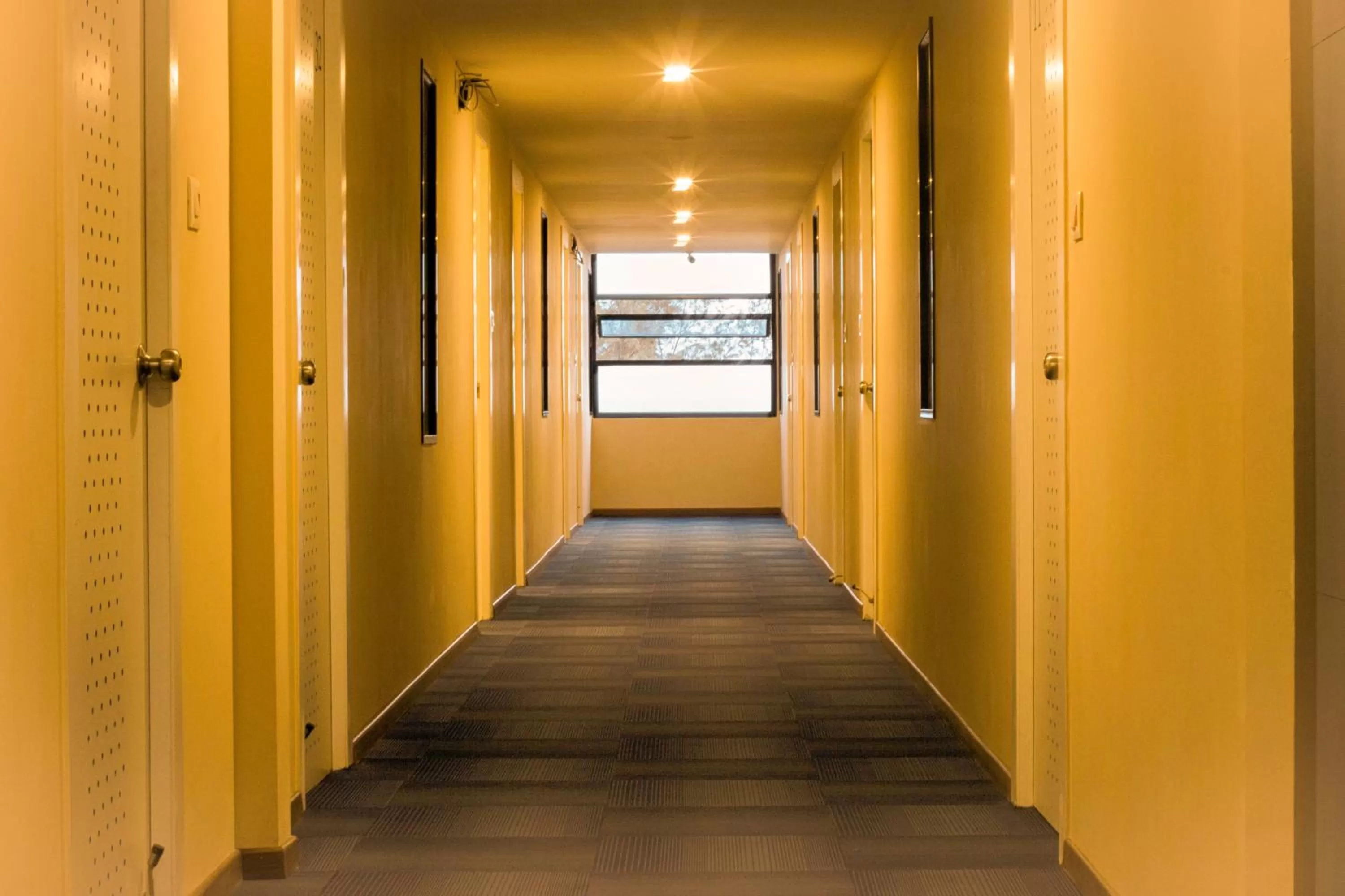 Area and facilities in Villa Park