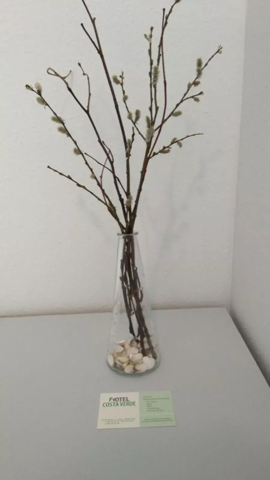 Double or Twin Room in Hotel Costa Verde Double or Twin Room in Hotel Costa Verde