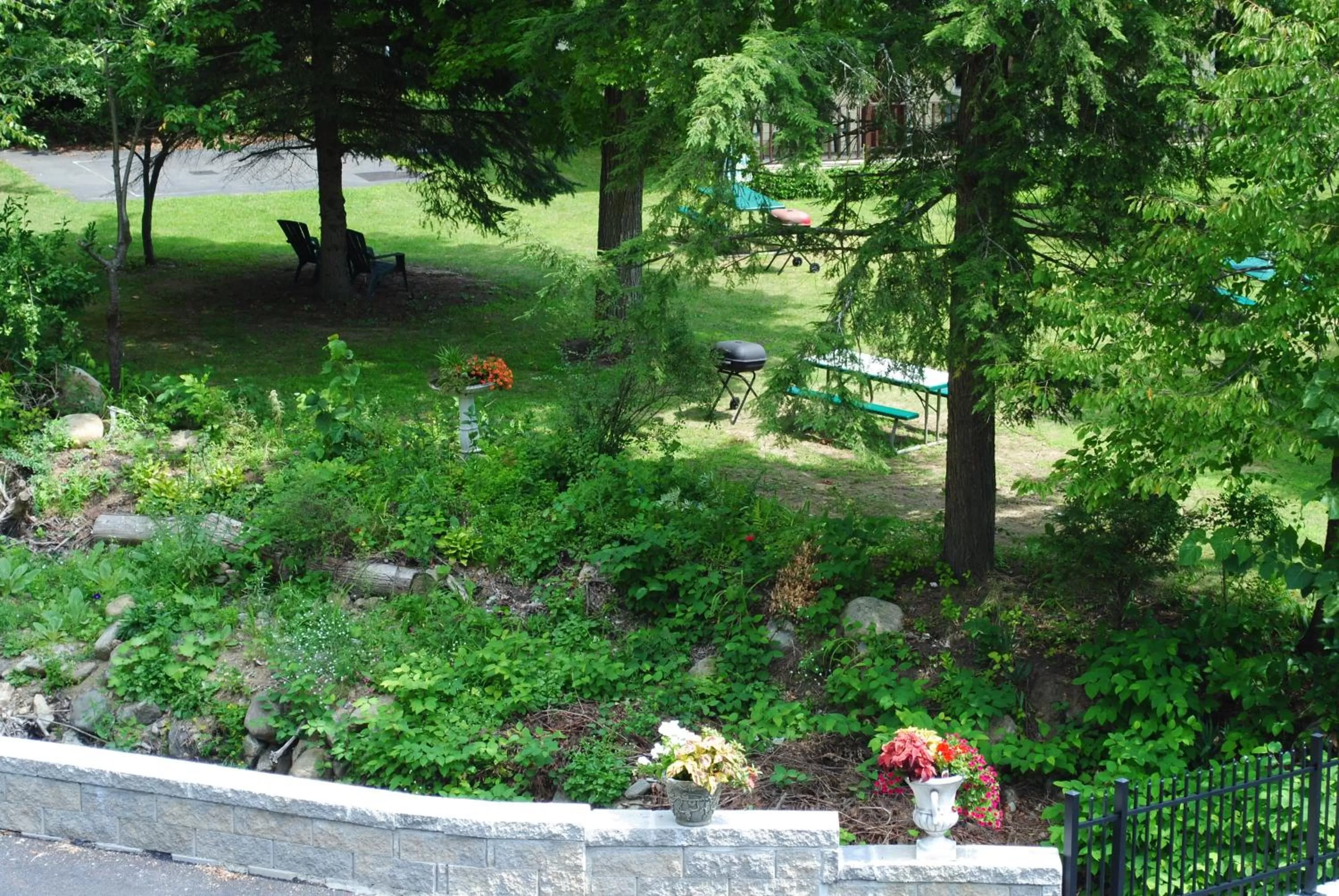 Day in Fran Cove Motel