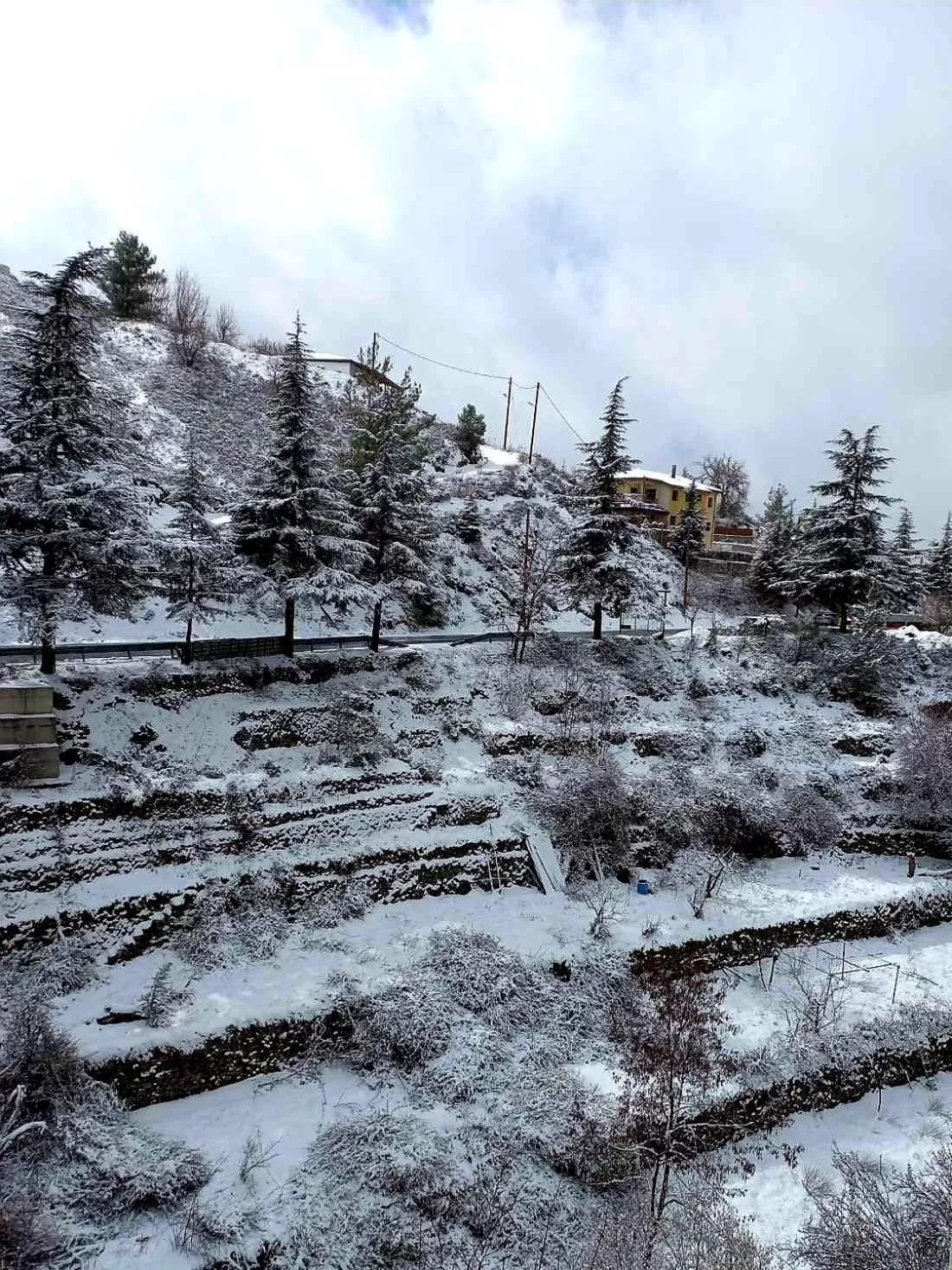 Natural landscape in Agros Green Valley Suites