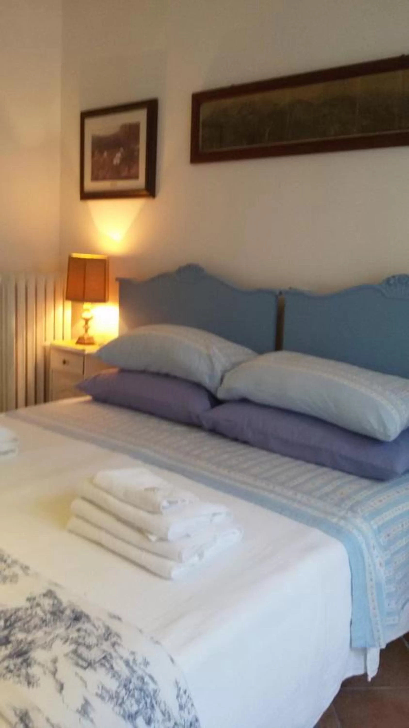 Double or Twin Room with Bathroom in Villa Fiorita