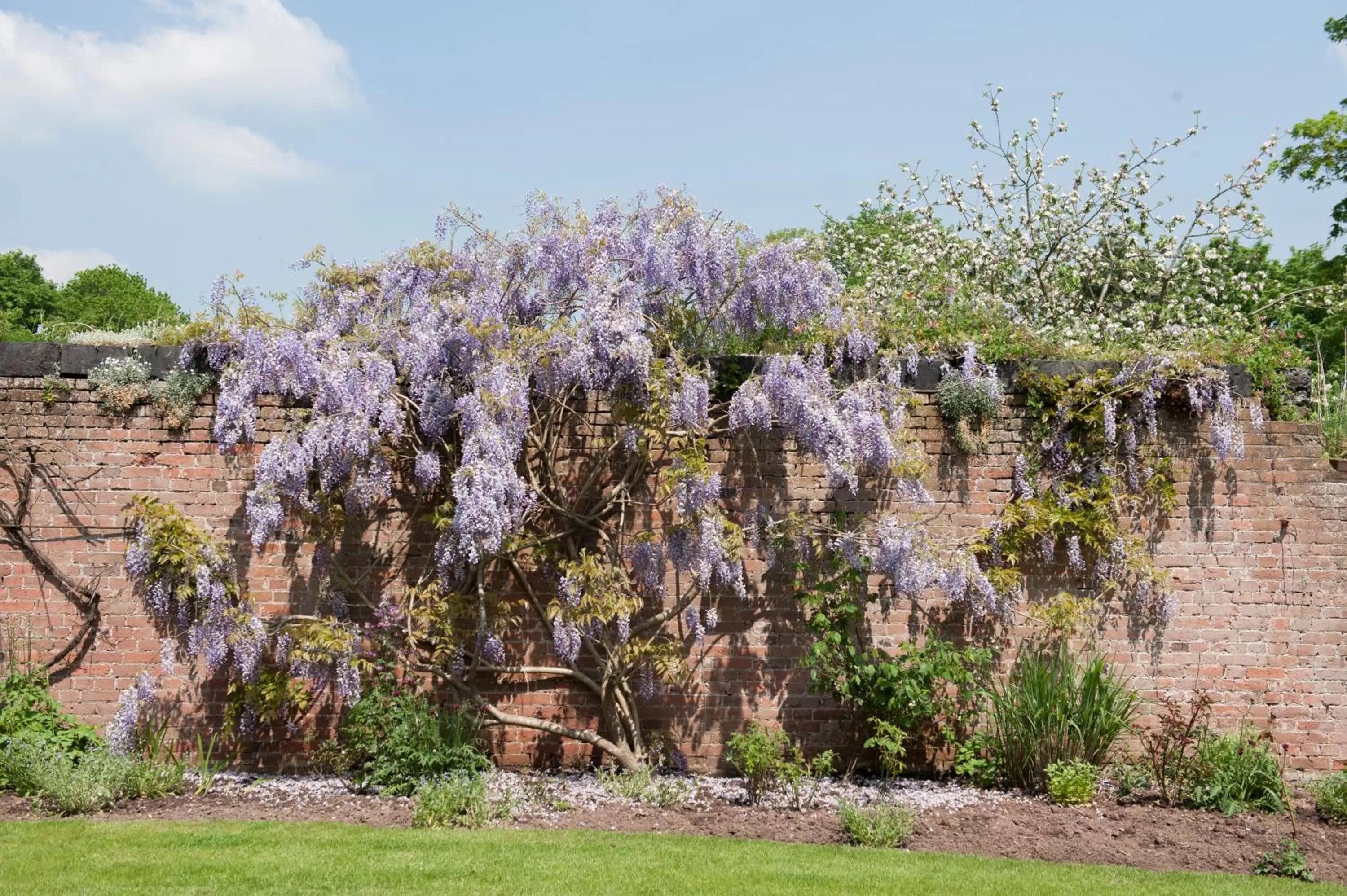 Day in The Bridge House