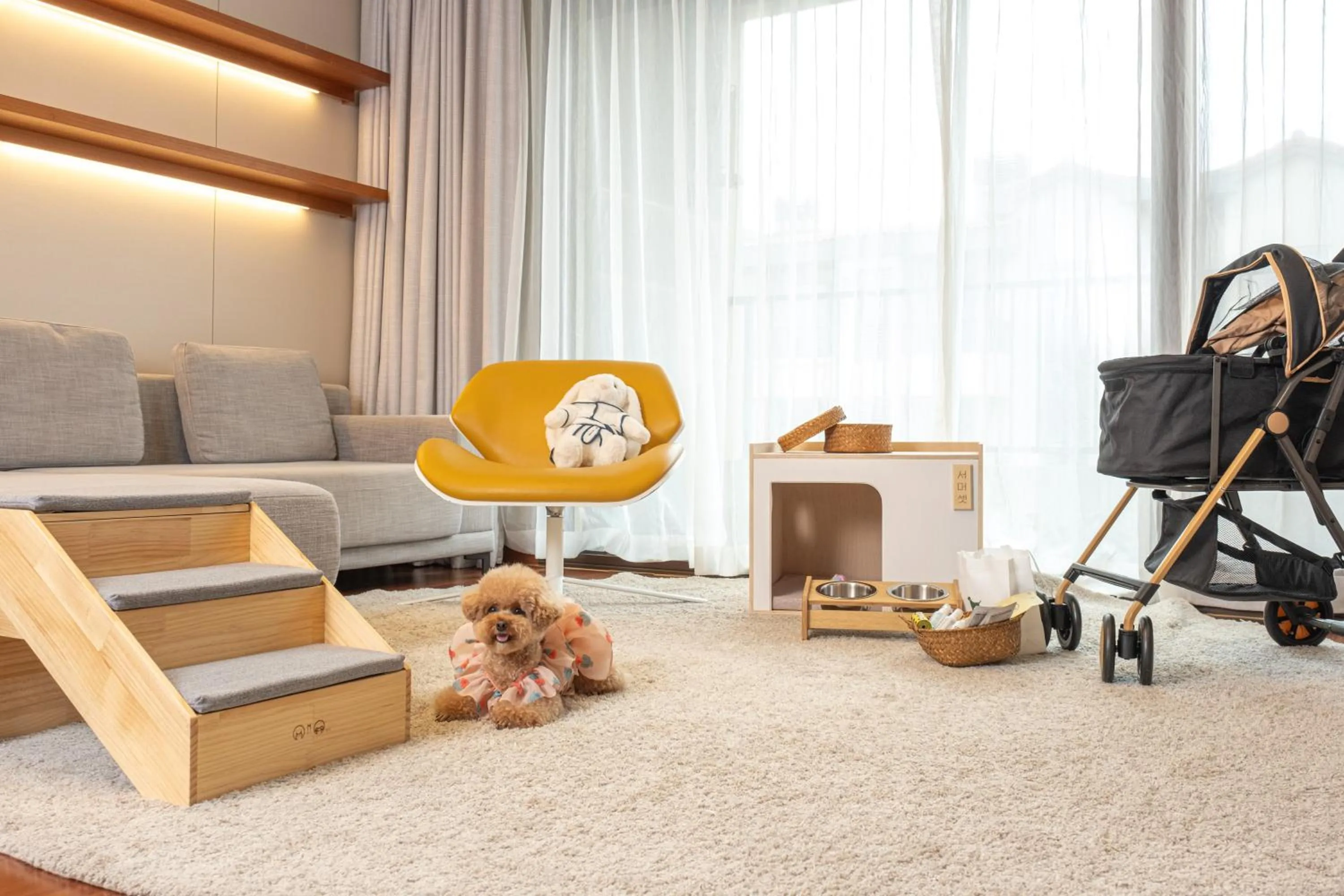 Animals in Somerset Jeju Shinhwa World