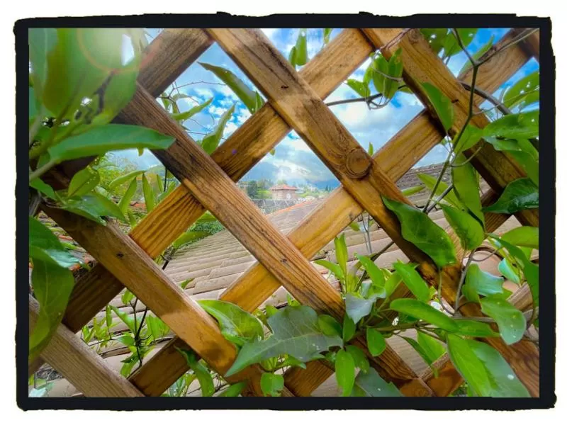 Chambres d'Hôtes Maison E.Bernat