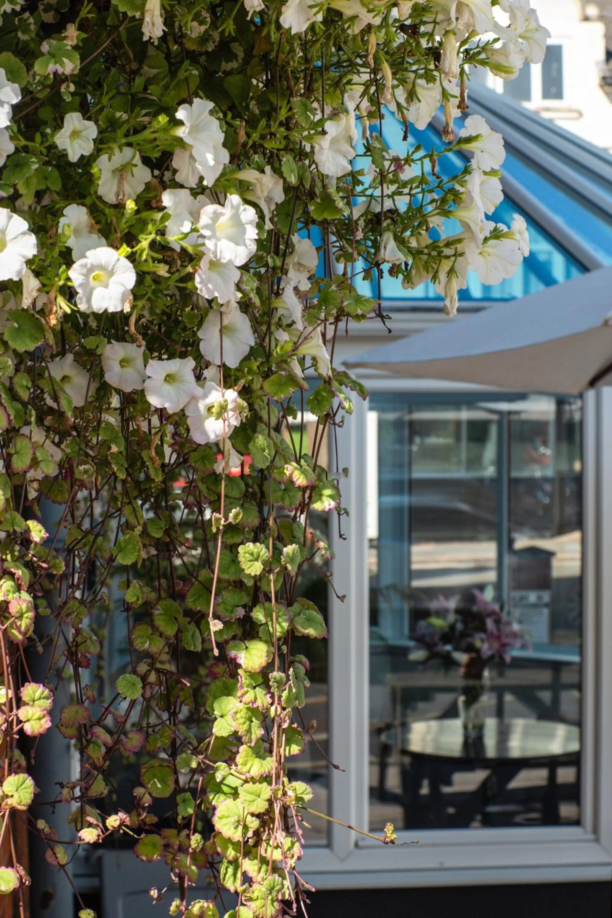 Patio in Plough Hotel