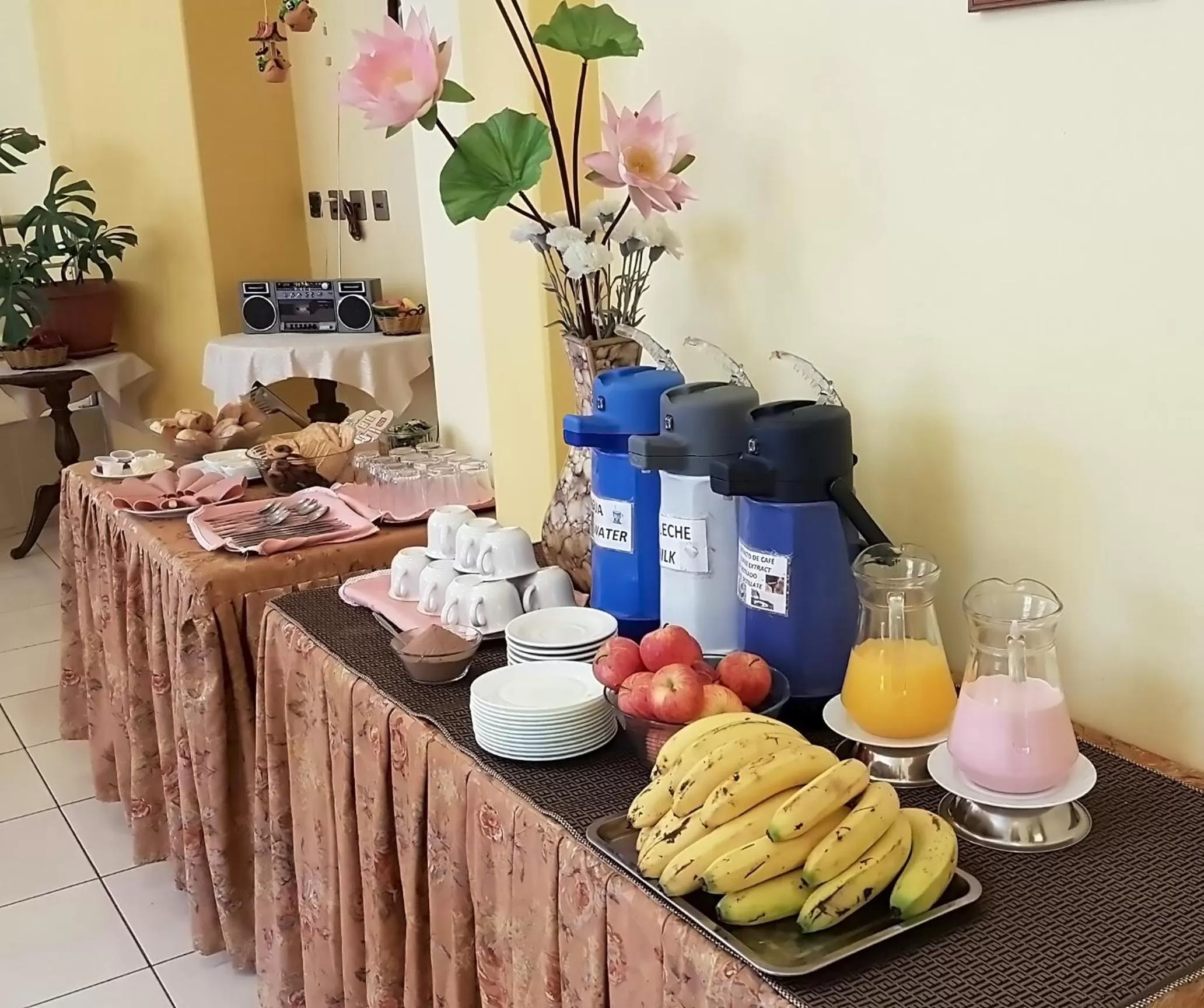 Continental breakfast, Food in Hotel Nuevo Sol