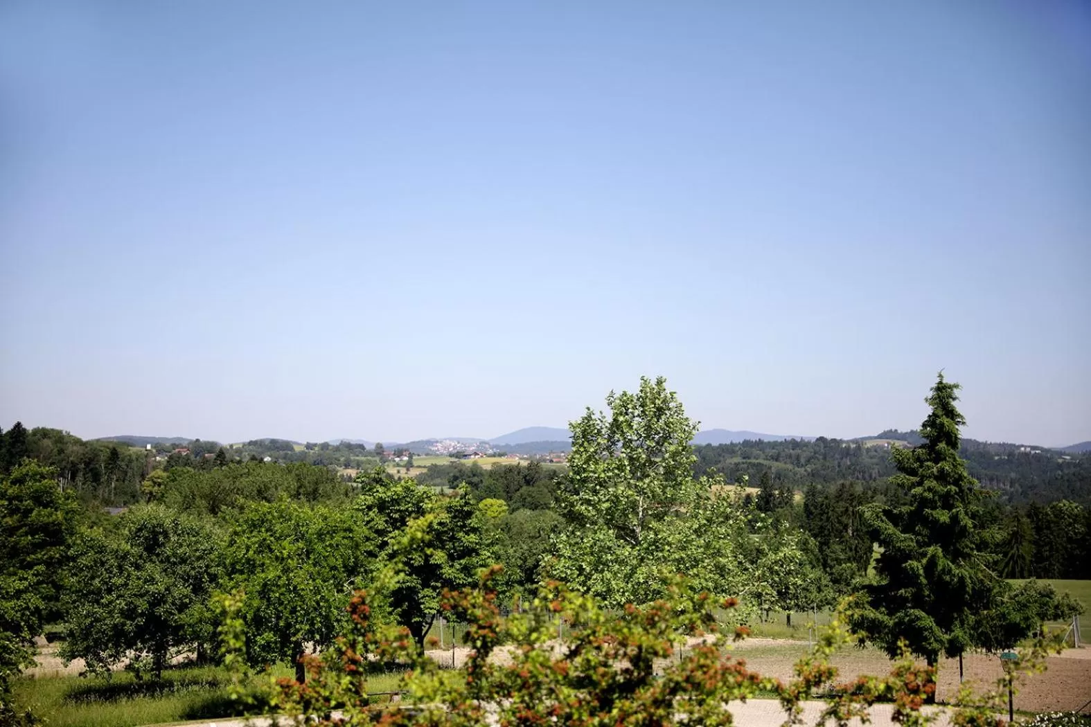View (from property/room) in Schätzlhof