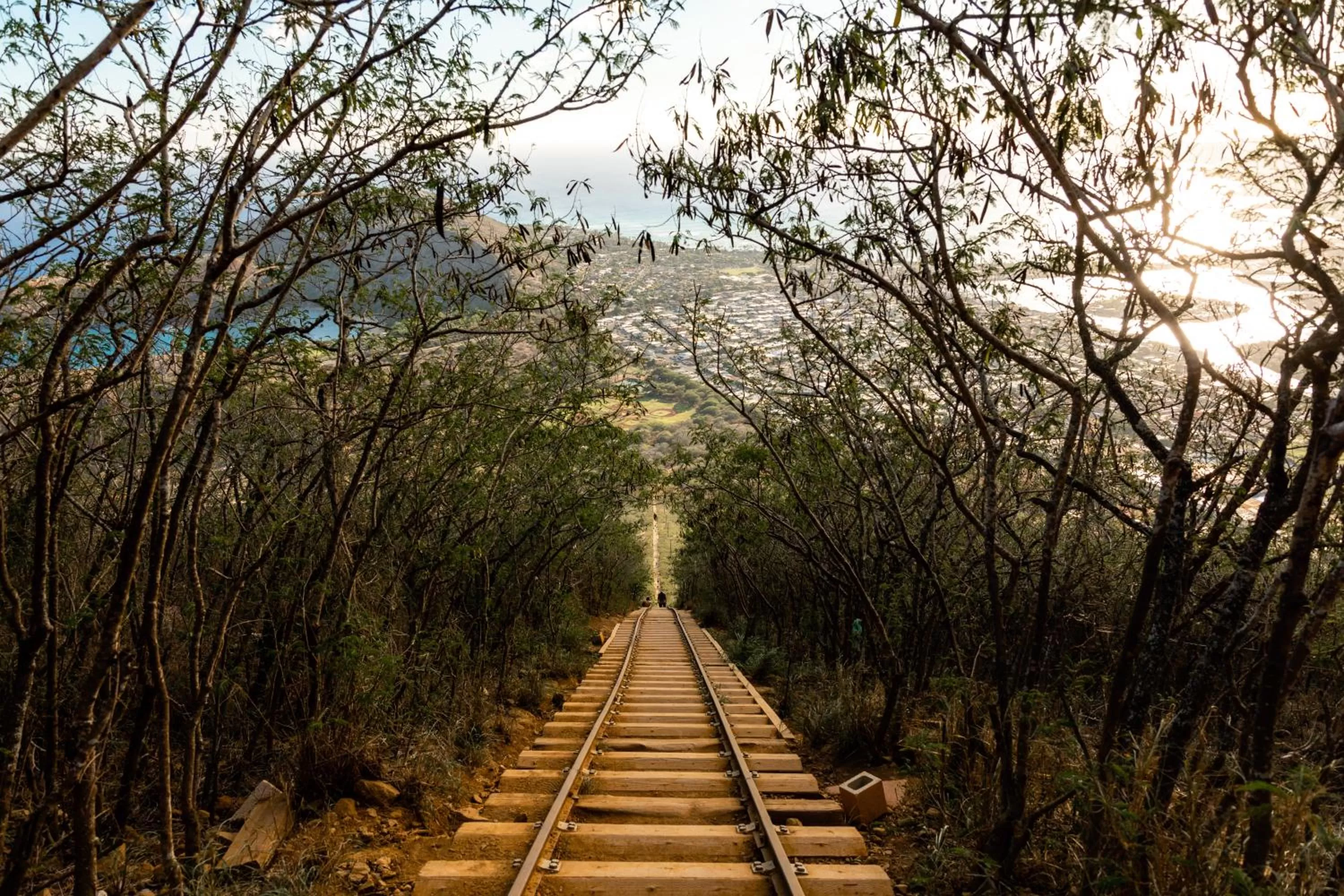 Nearby landmark in Wayfinder Waikiki - Voted Top 10 Best Hotels in Hawaii!