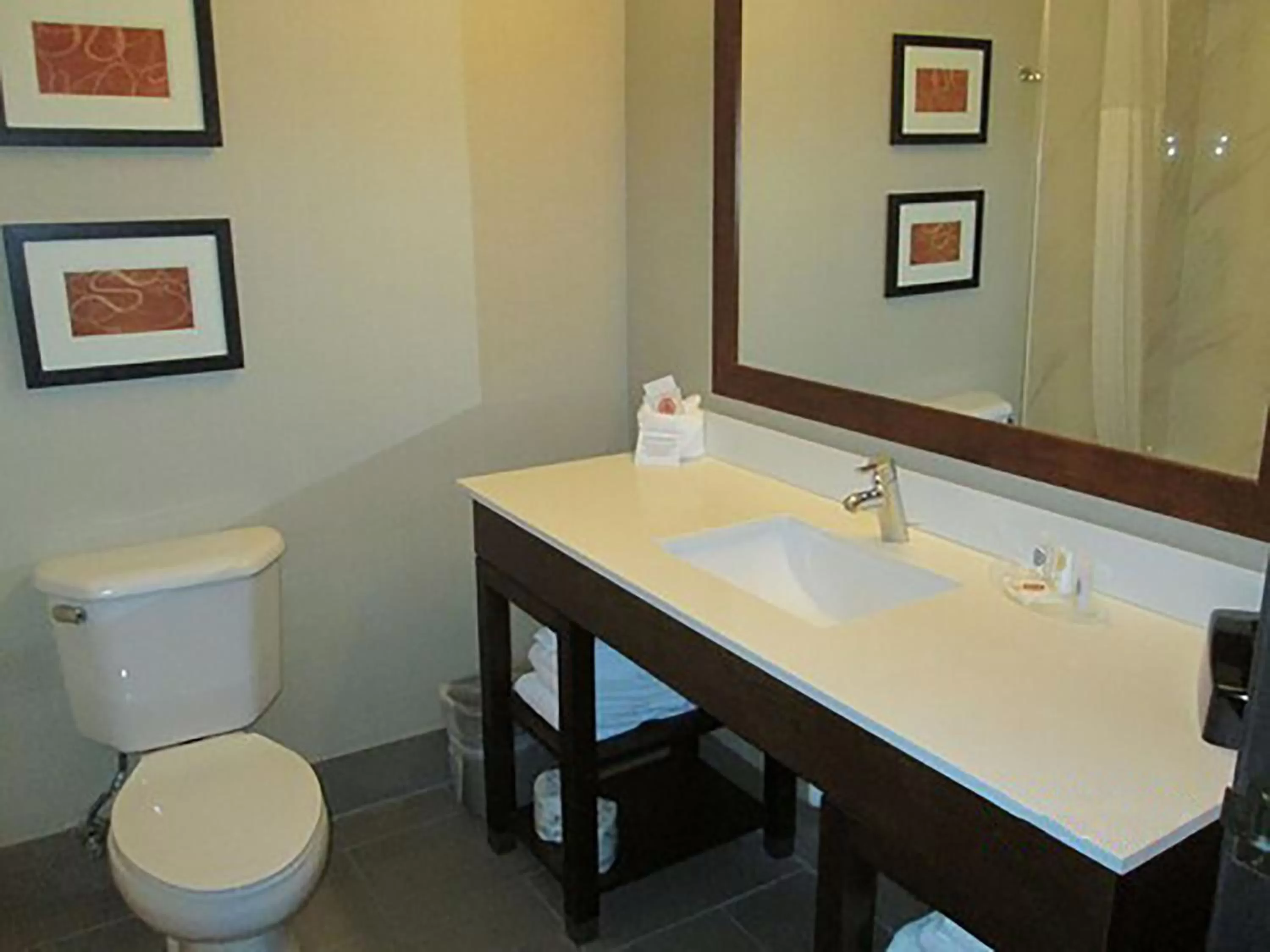 Bathroom in Comfort Suites Fort Wayne North