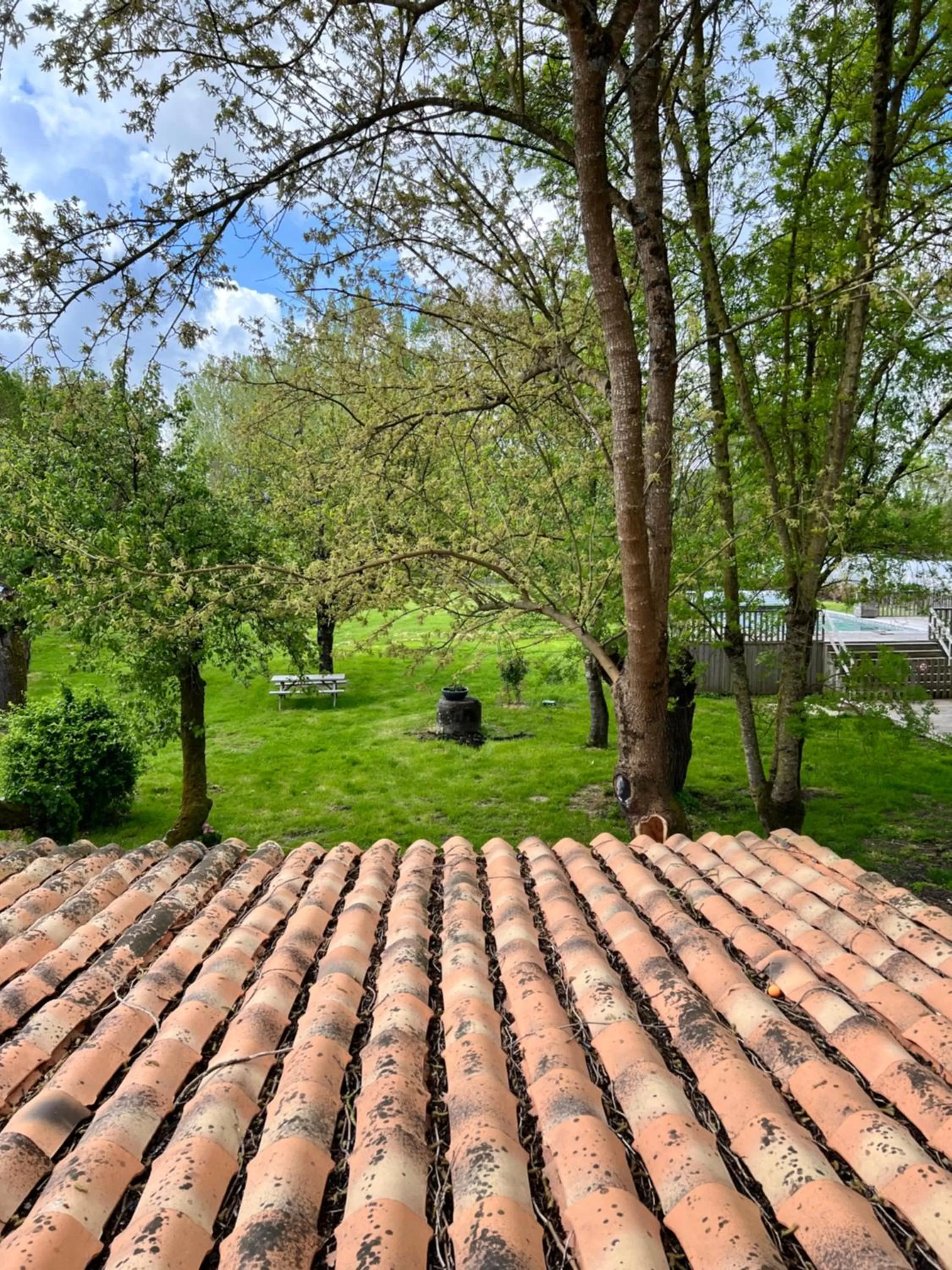 Garden in Relais de la Venise verte