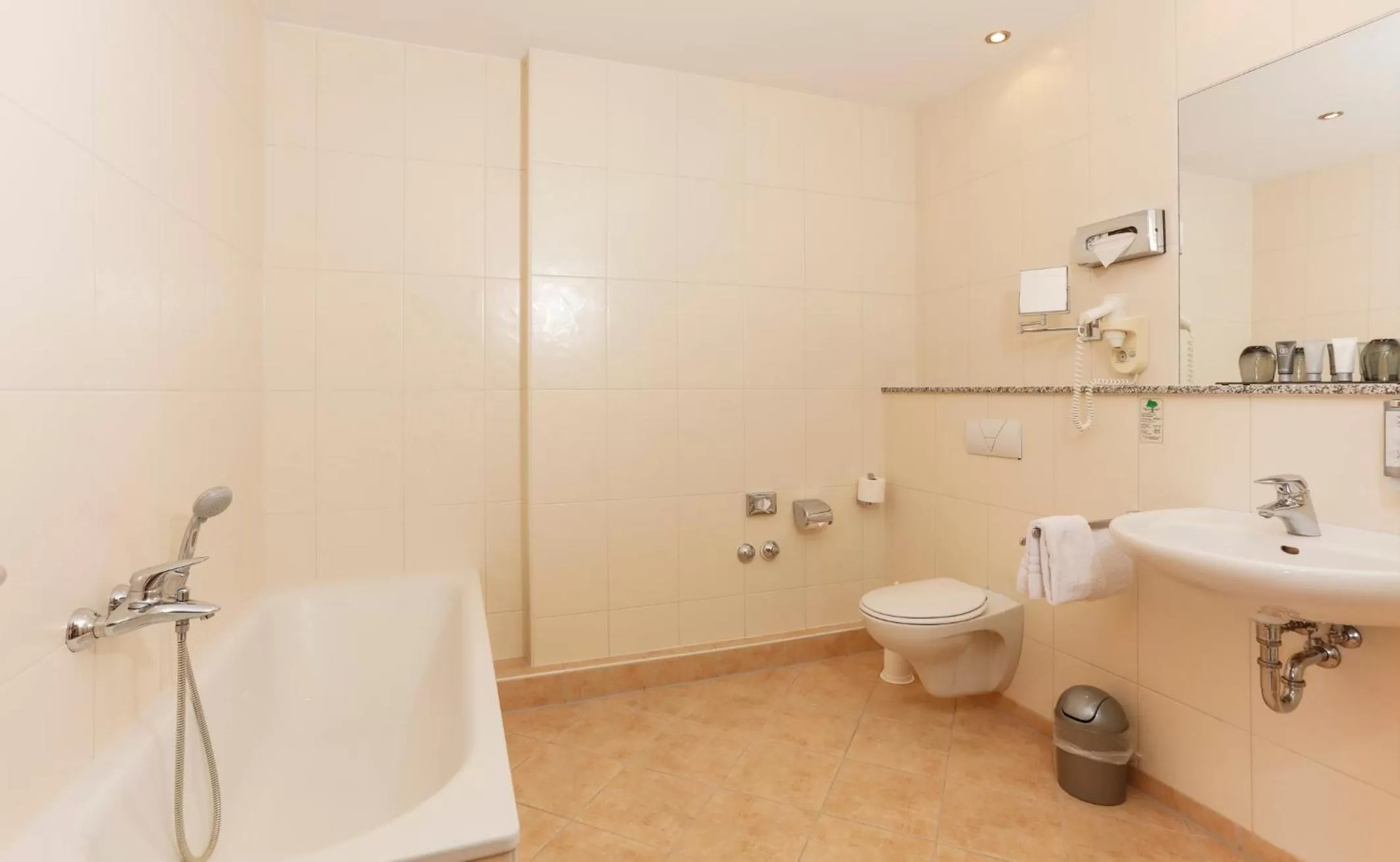 Toilet in Hotel am Rhein