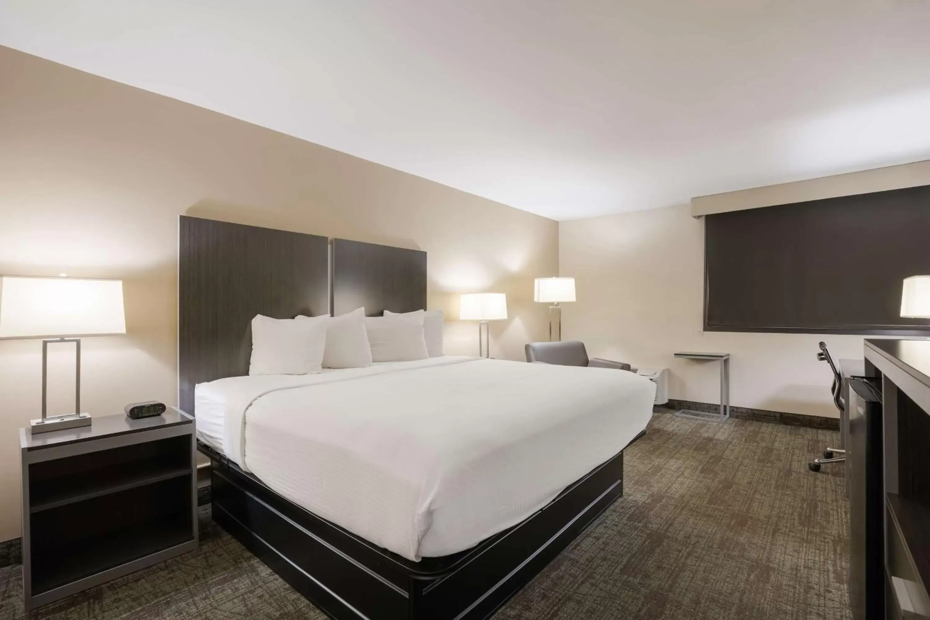 King Room - Pet Friendly in Best Western Northwest Indiana Inn King Room - Pet Friendly in Best Western Northwest Indiana Inn