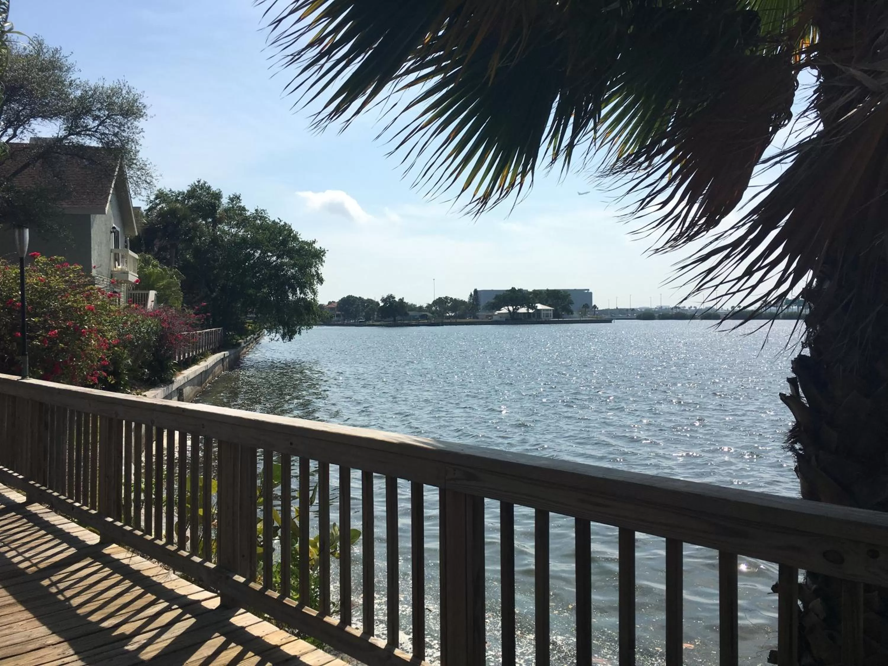 Sea view in Chase Suite Hotel Rocky Point Tampa